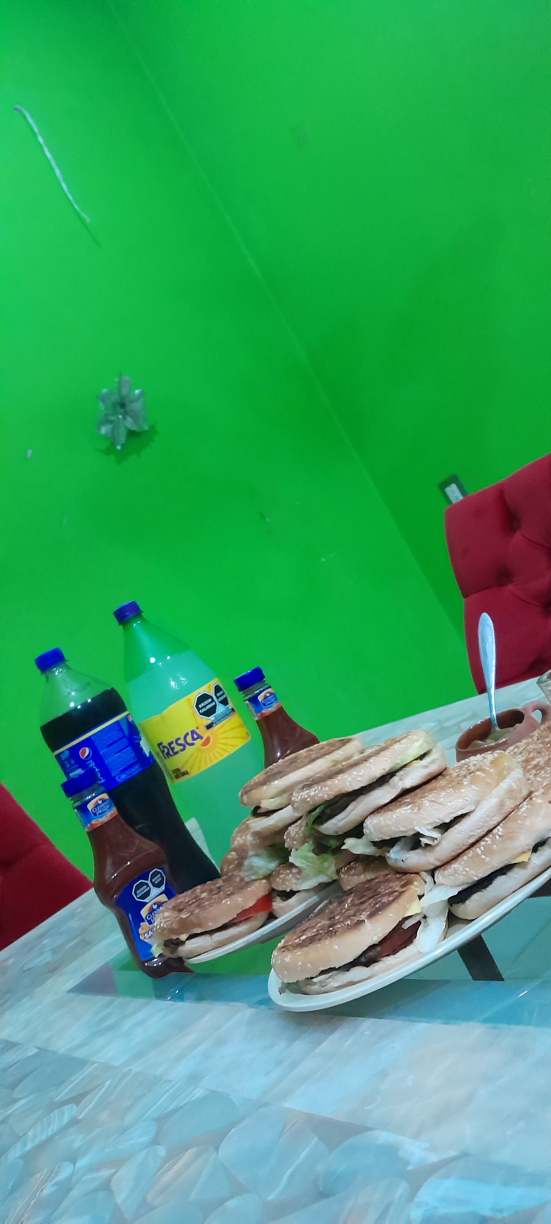 LOS GIRASOLES image 8