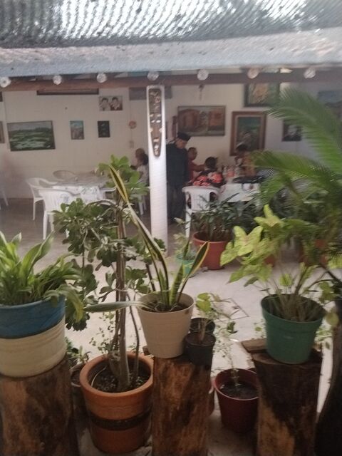 Comedor comunitario image 8