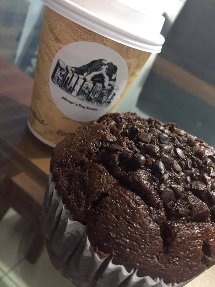 Chicago’s dog Rooster image 2