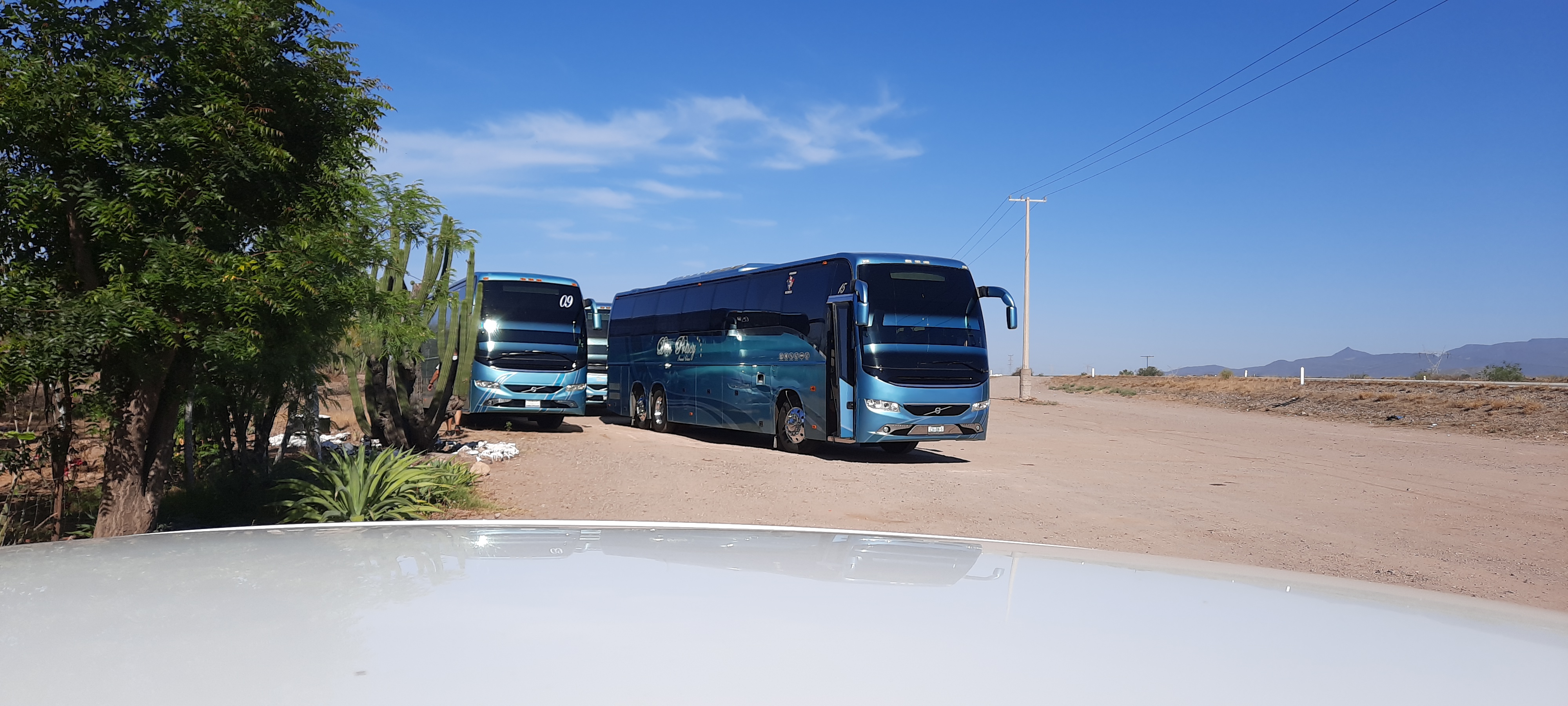 Restaurante “LA CABAÑA” Carnes asadas y machaca image 7