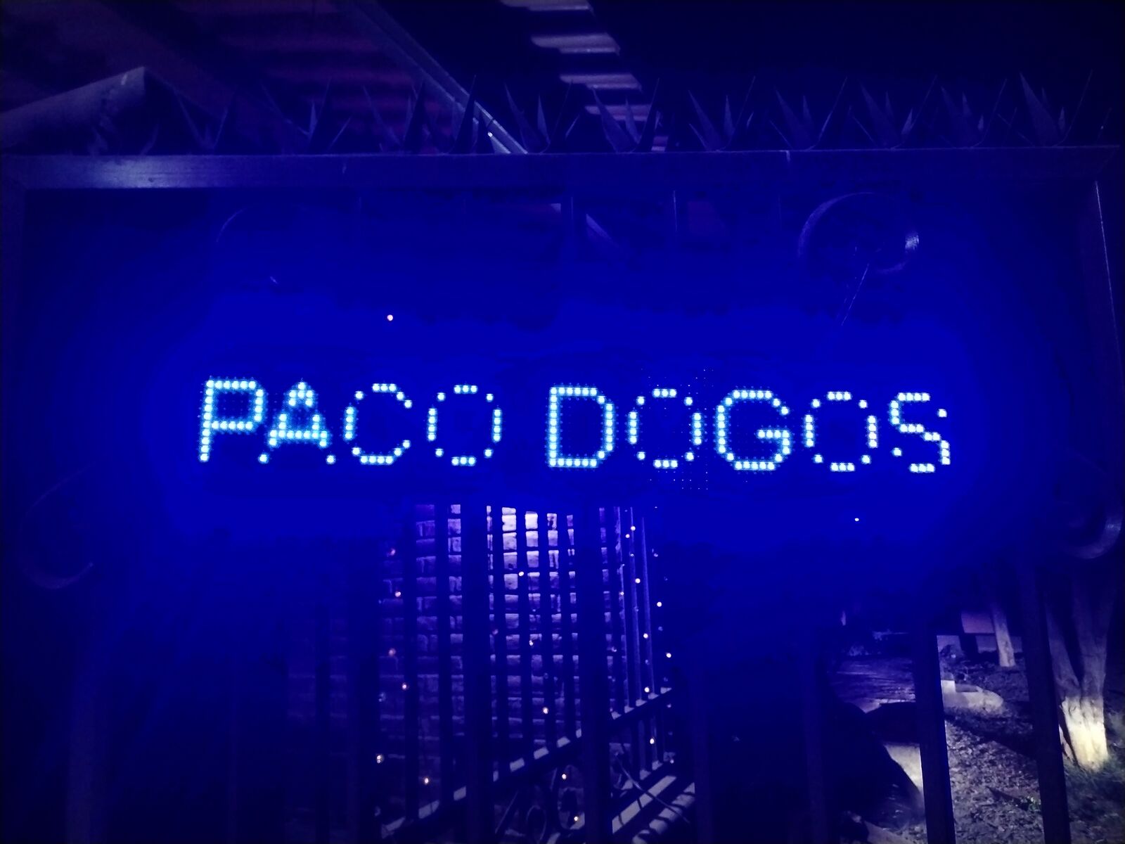 Paco Dogos image 9
