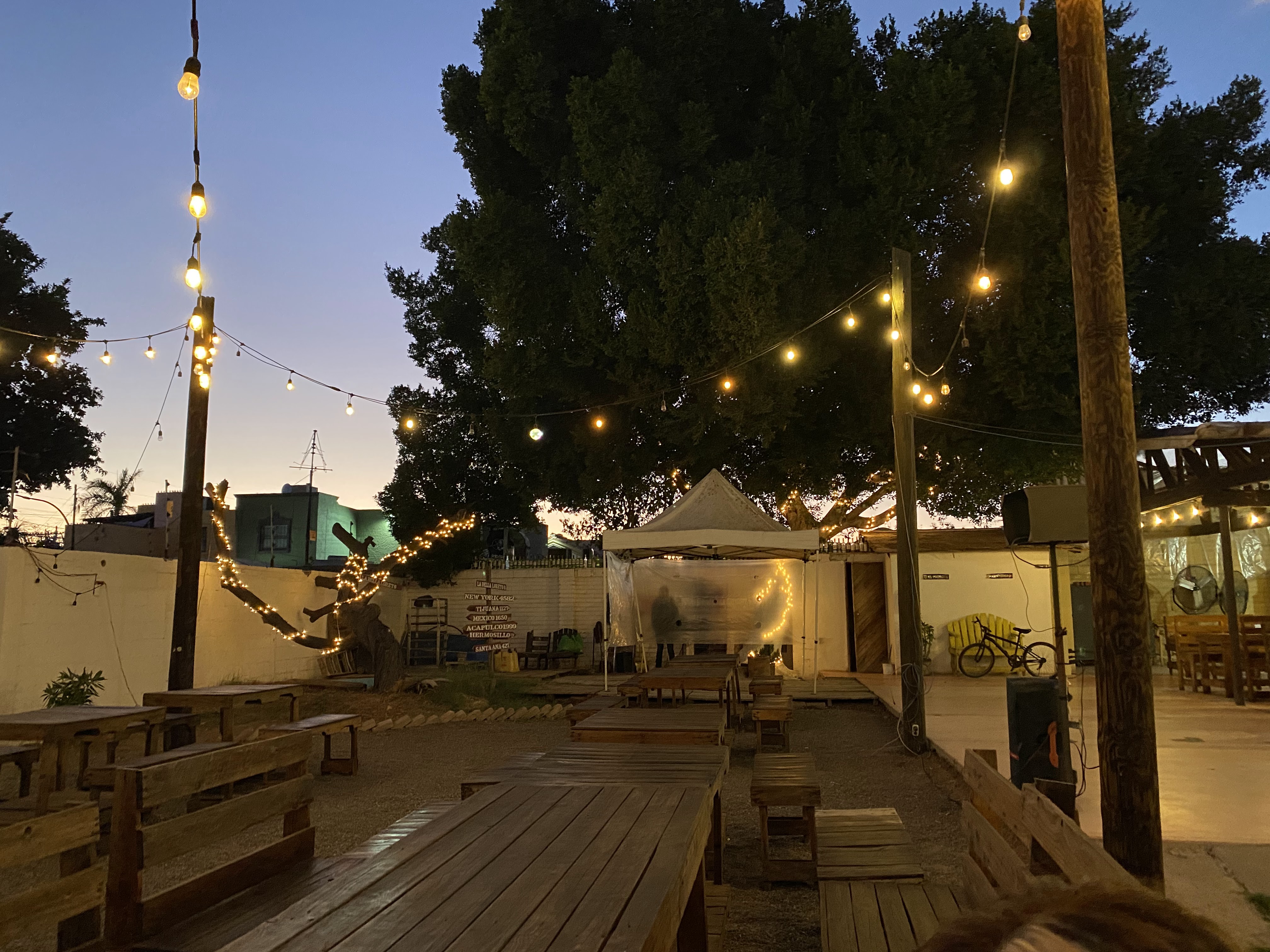 La Bella Loreto Restaurant image 4