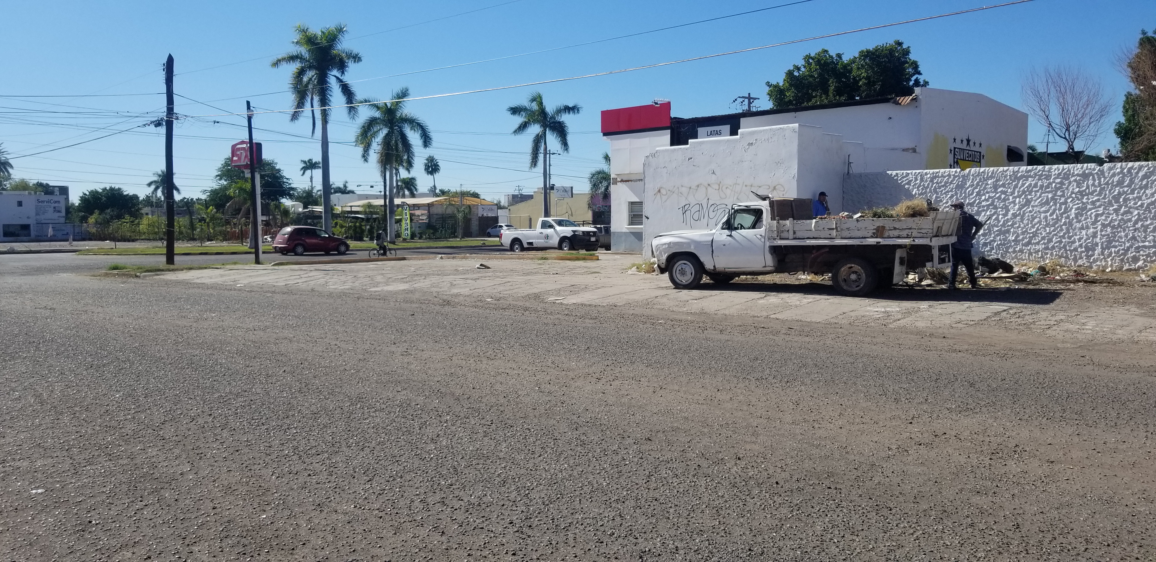 La Bella Loreto Restaurant image 5