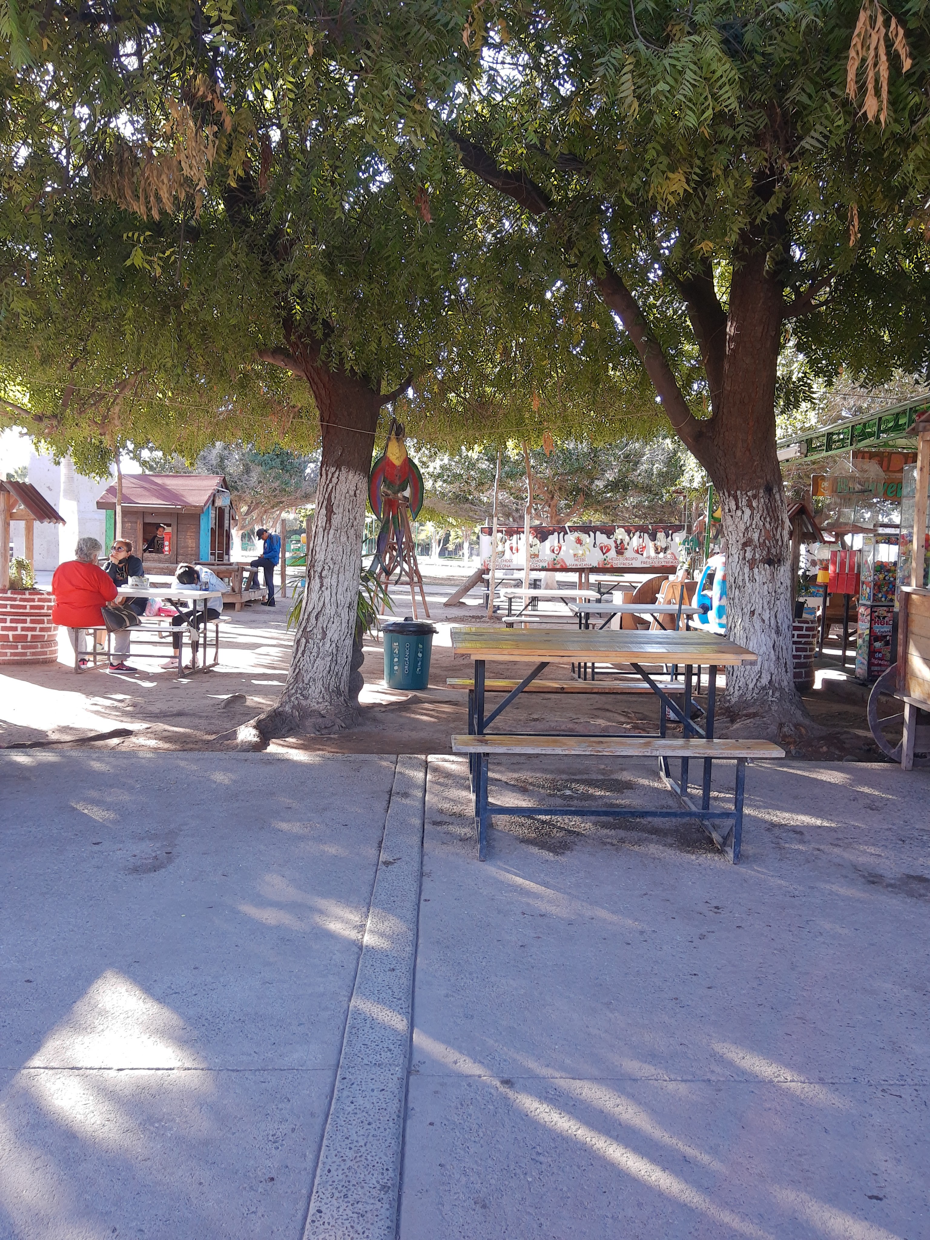 Obispos y Raspados Heidi image 7