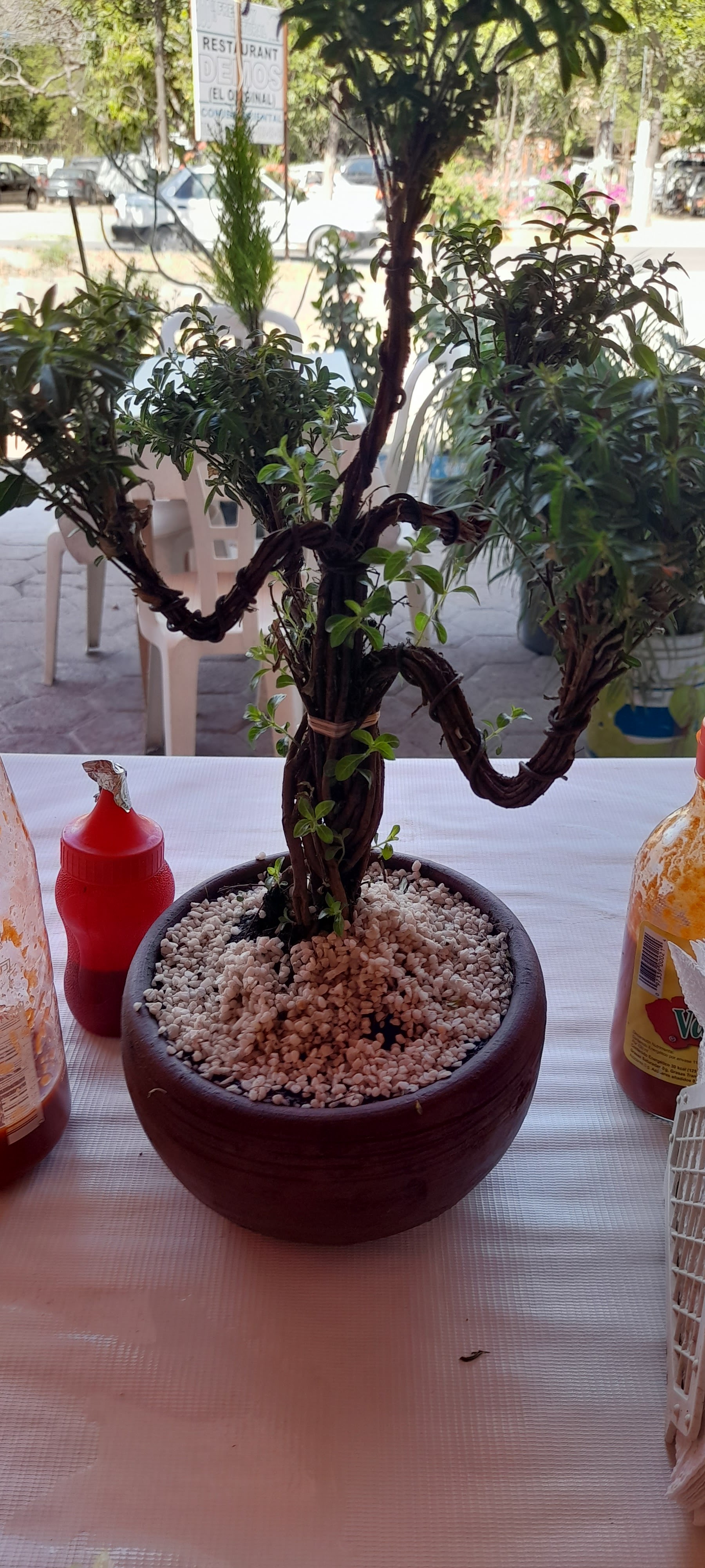 Restaurant Demos el original image 9