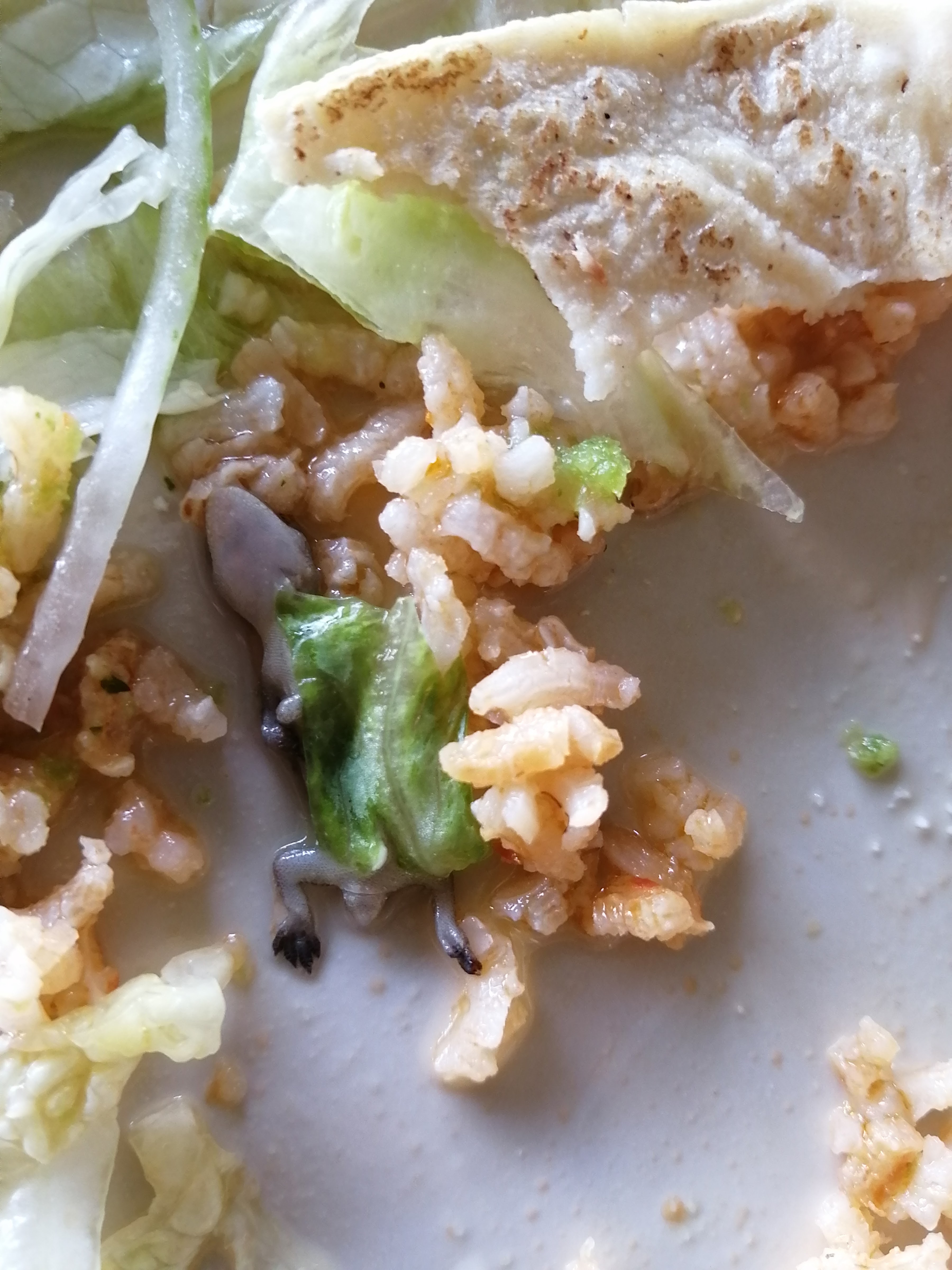 Restaurant Casa Mateo image 3