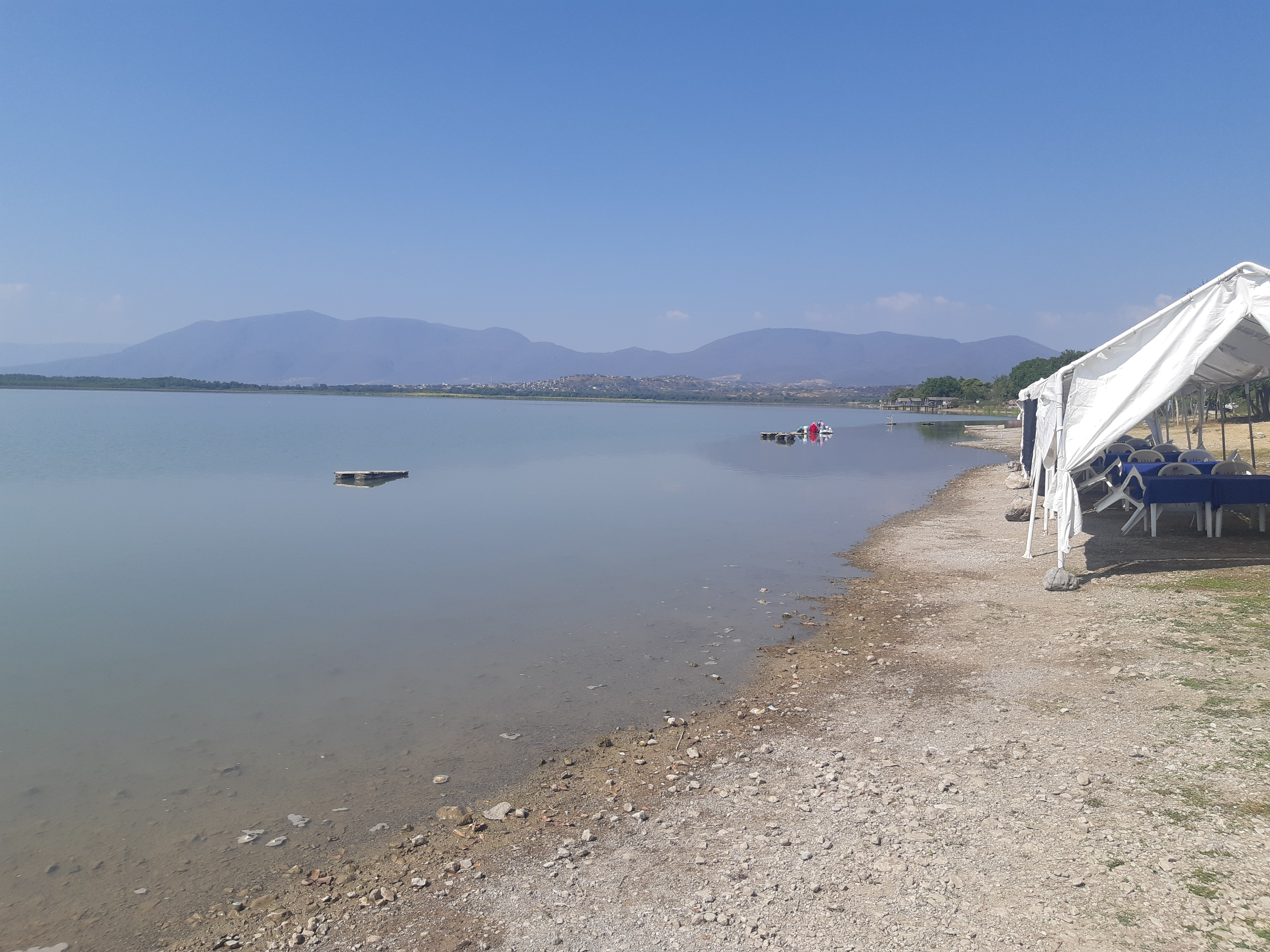 Restaurant La Palma image 3