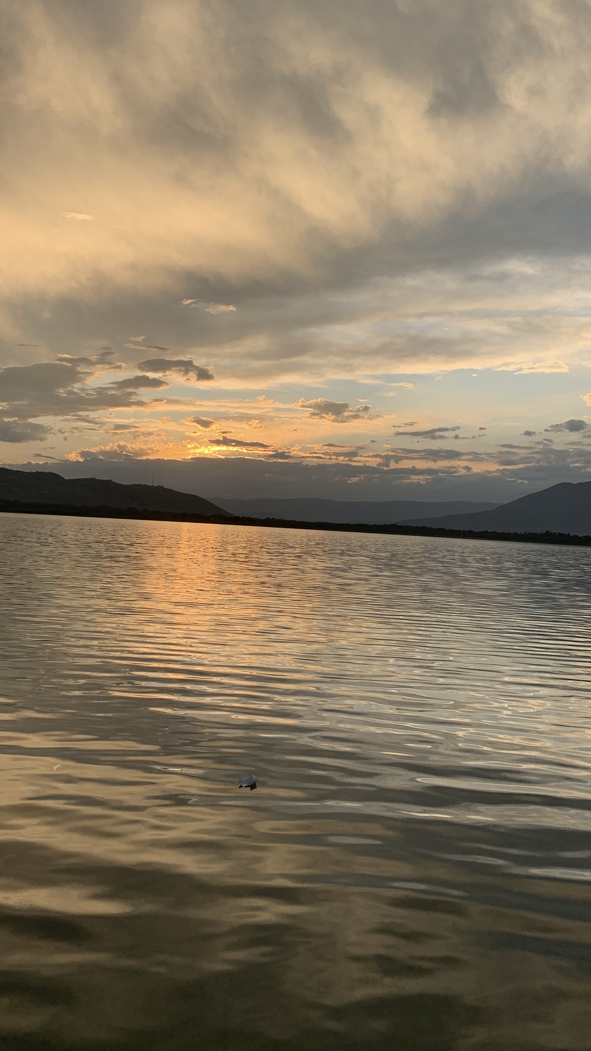 Restaurant La Palma image 4