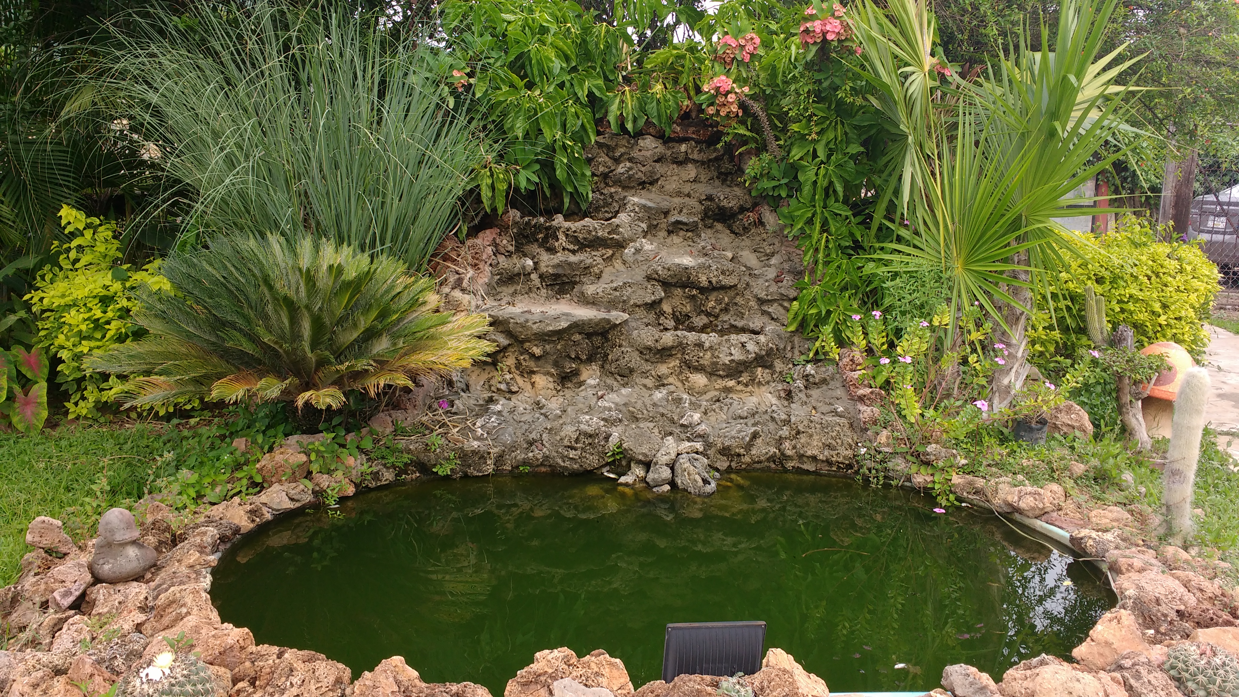 Restaurante "La Cascada" image 4