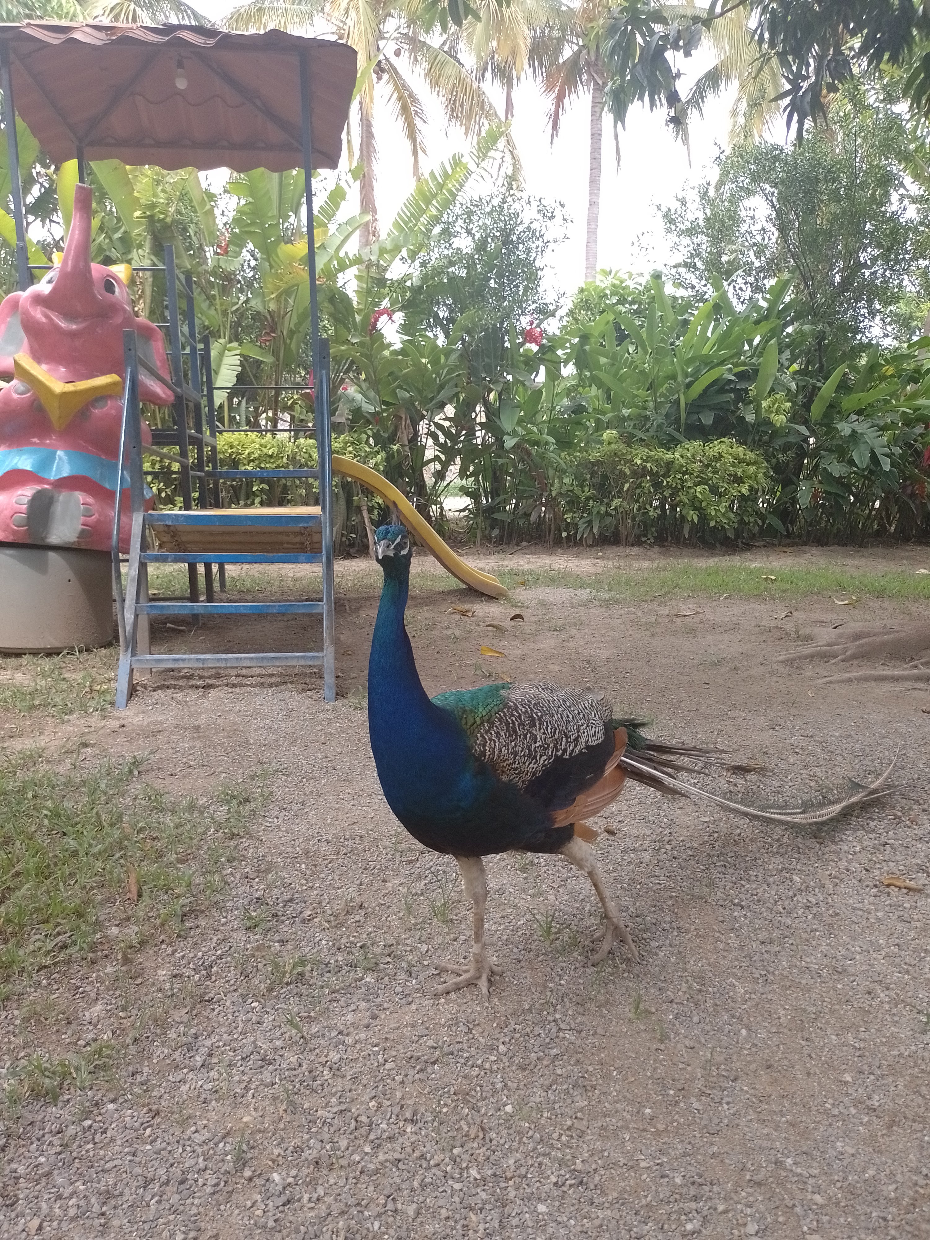 Restaurante "La Cascada" image 5