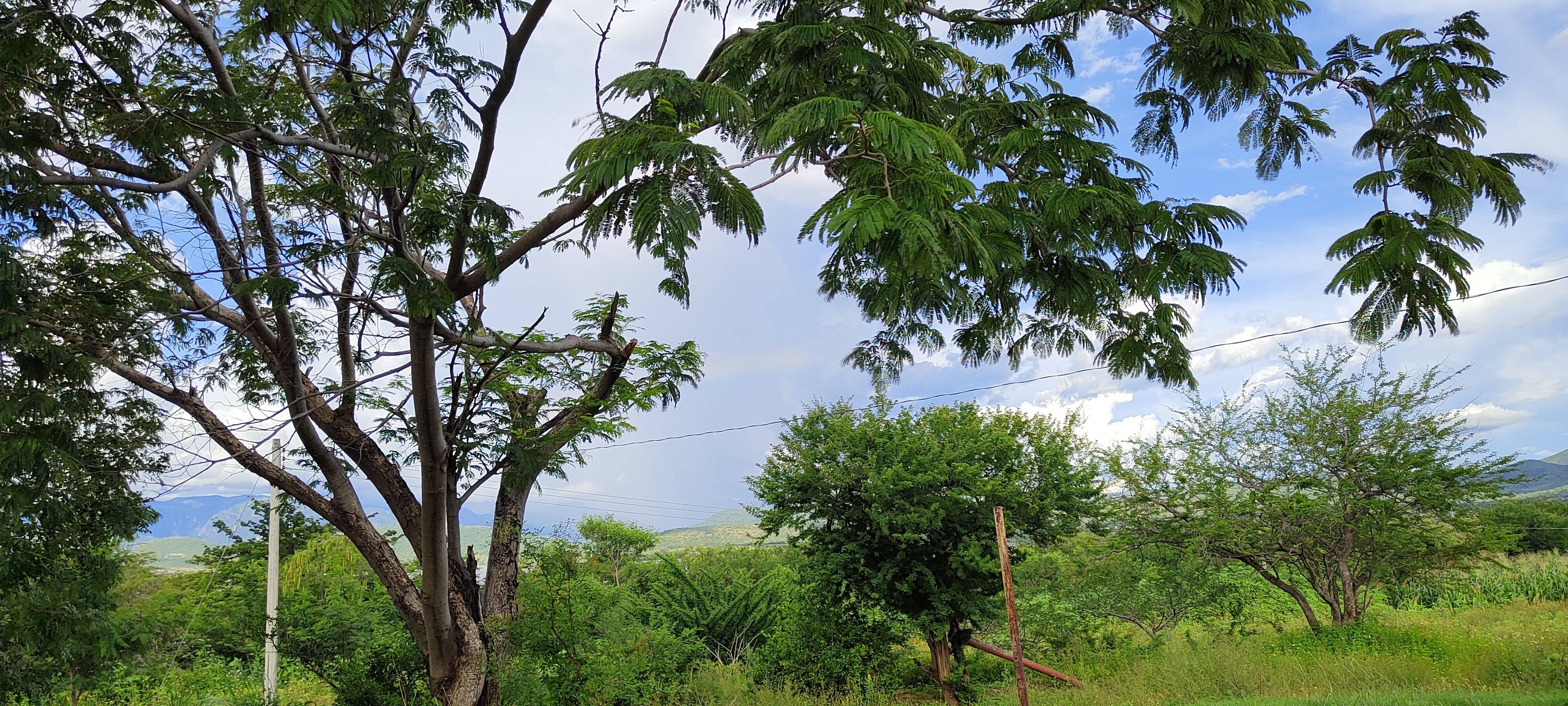 Restaurante las Brisas image 2