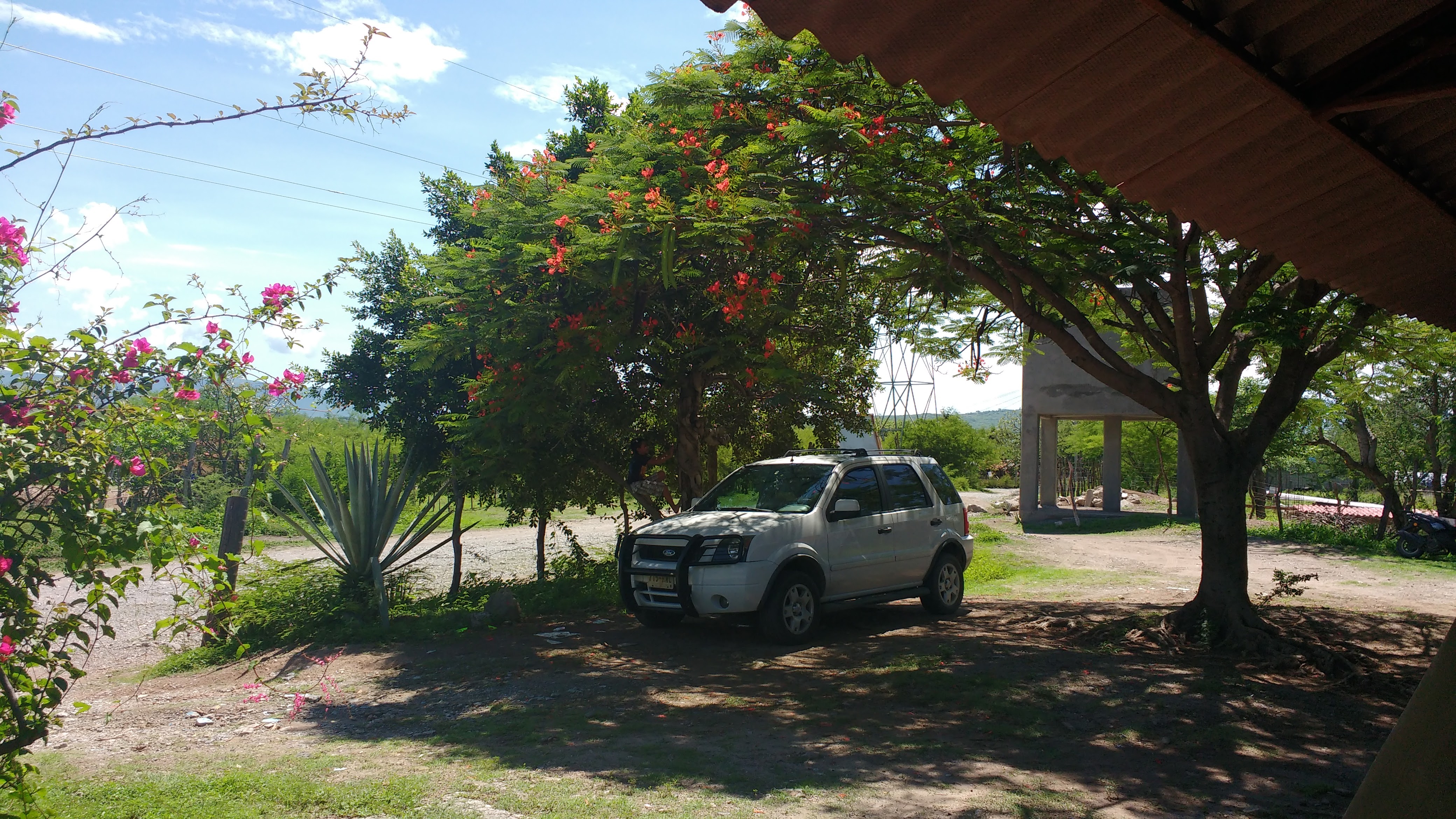 Restaurante las Brisas image 8