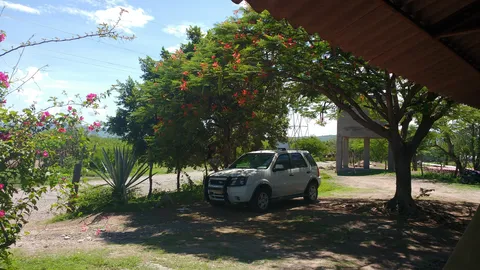 Restaurante las Brisas image 8