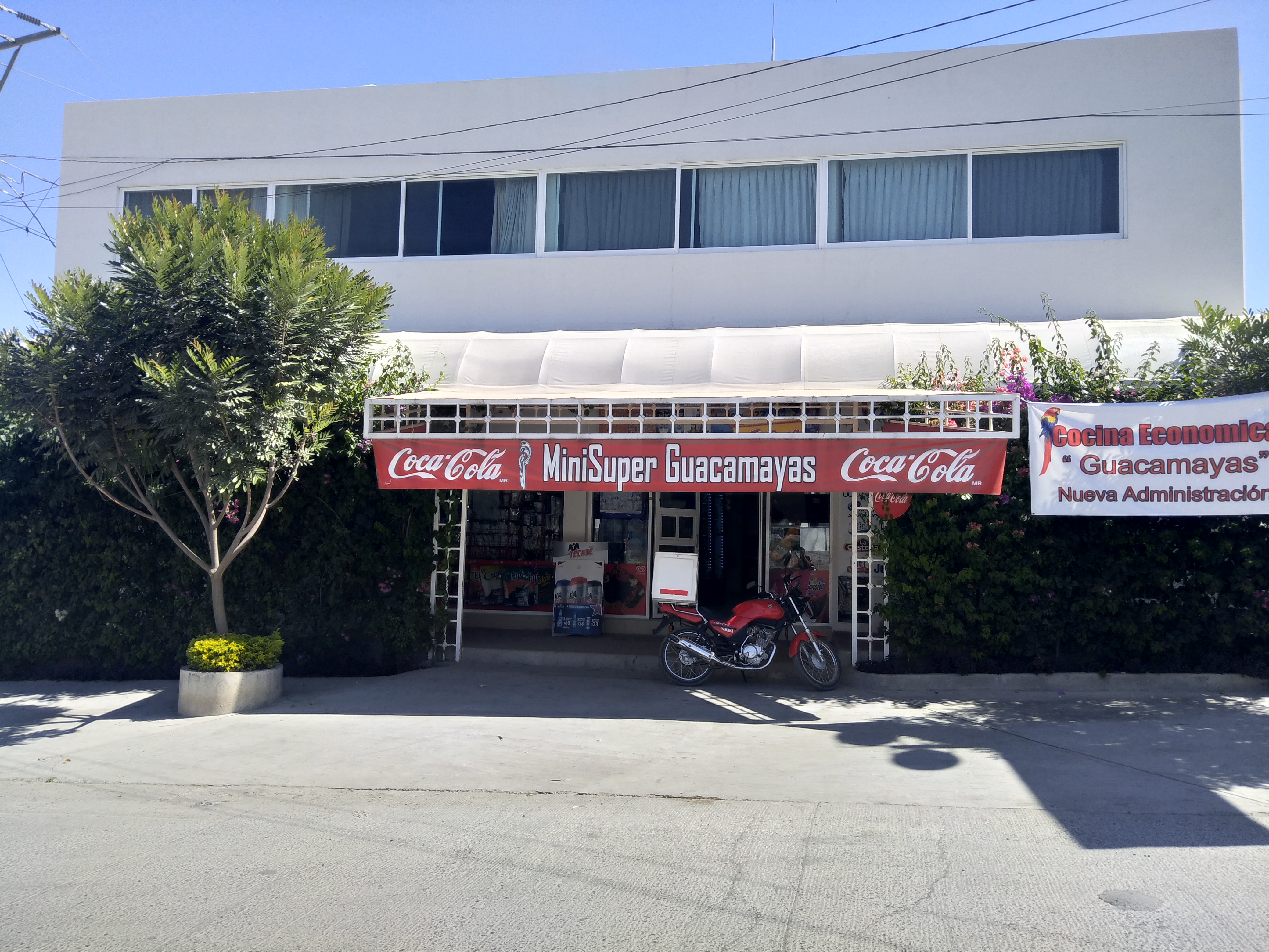 Restaurante GUACAMAYAS image 1