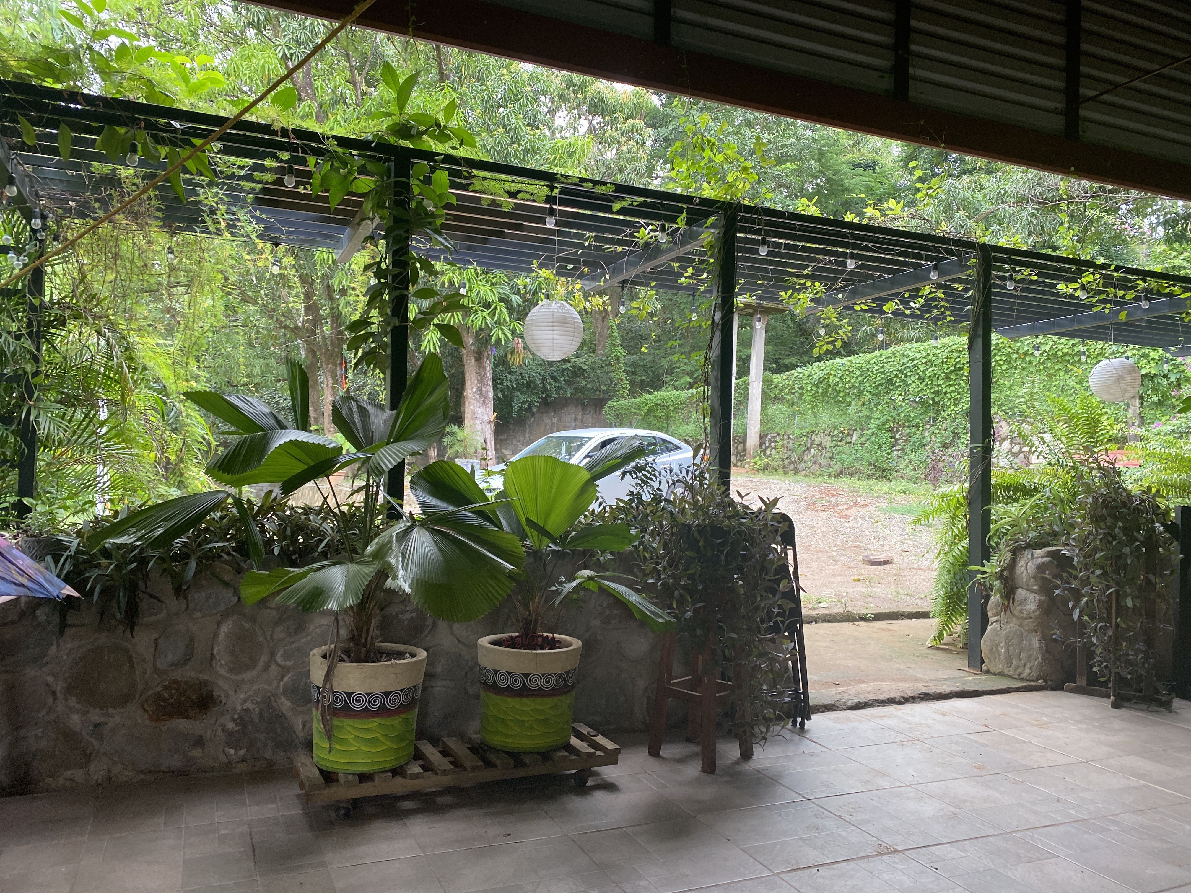 El Sazón de Loren image 6