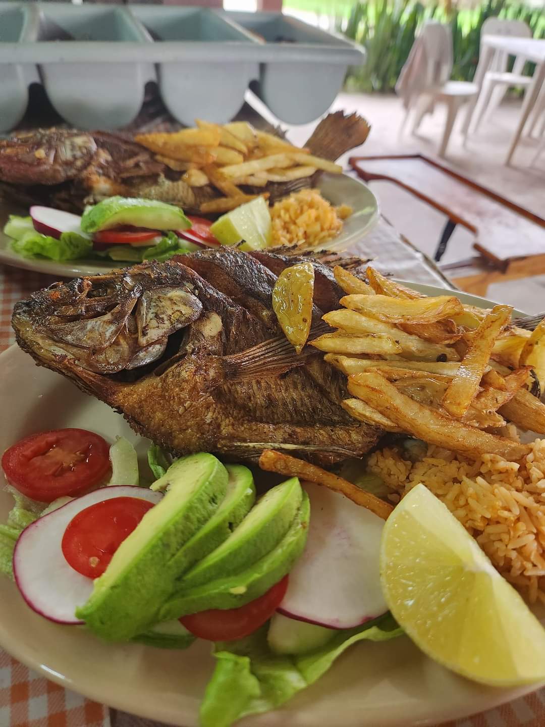 Restaurant Familiar "La Quinta" image 6