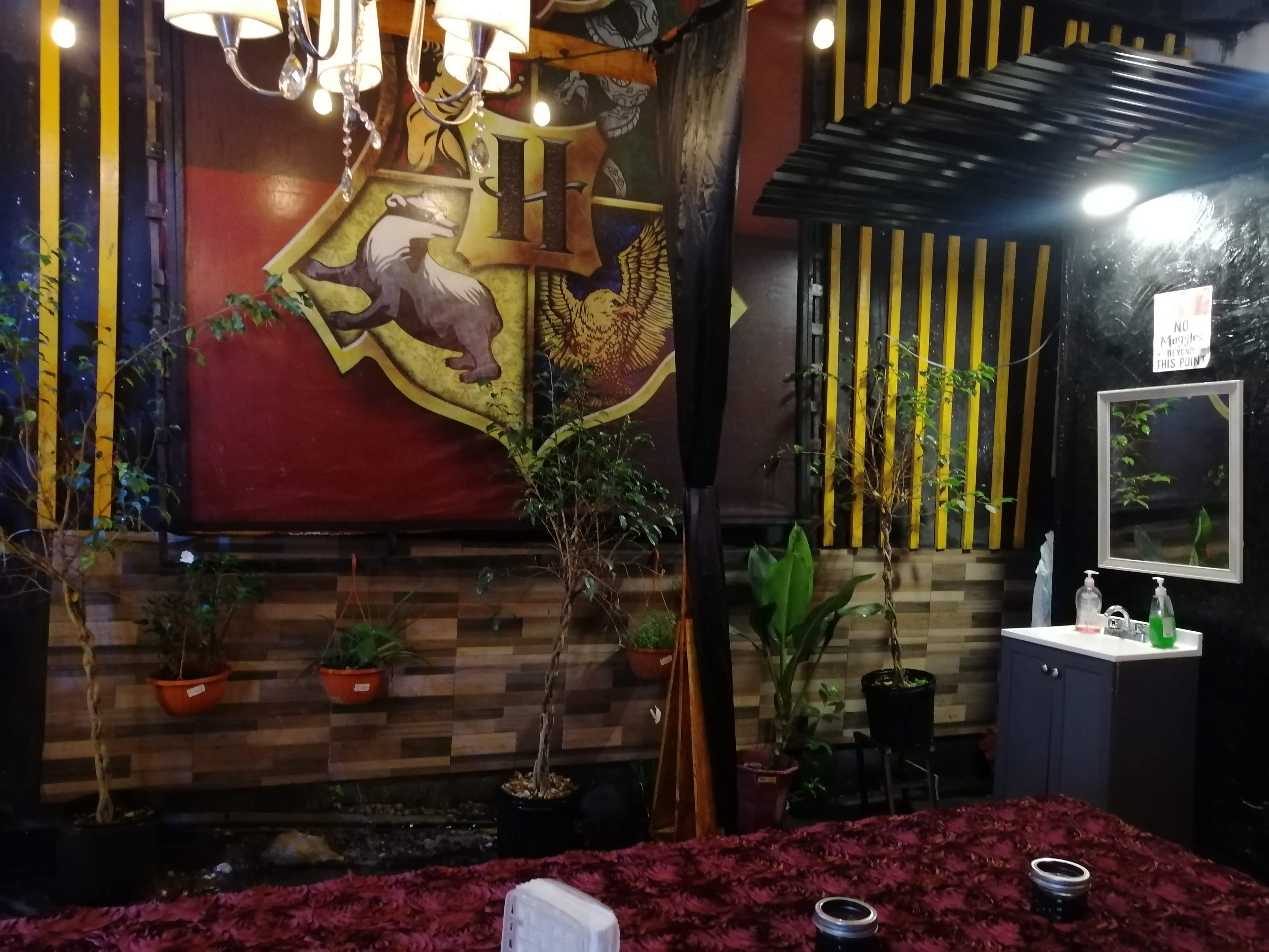 Howarts Express 9 3/4 image 10