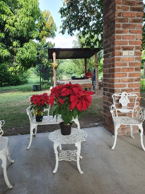 Restaurante Caldito Sureño Tapachula image 1