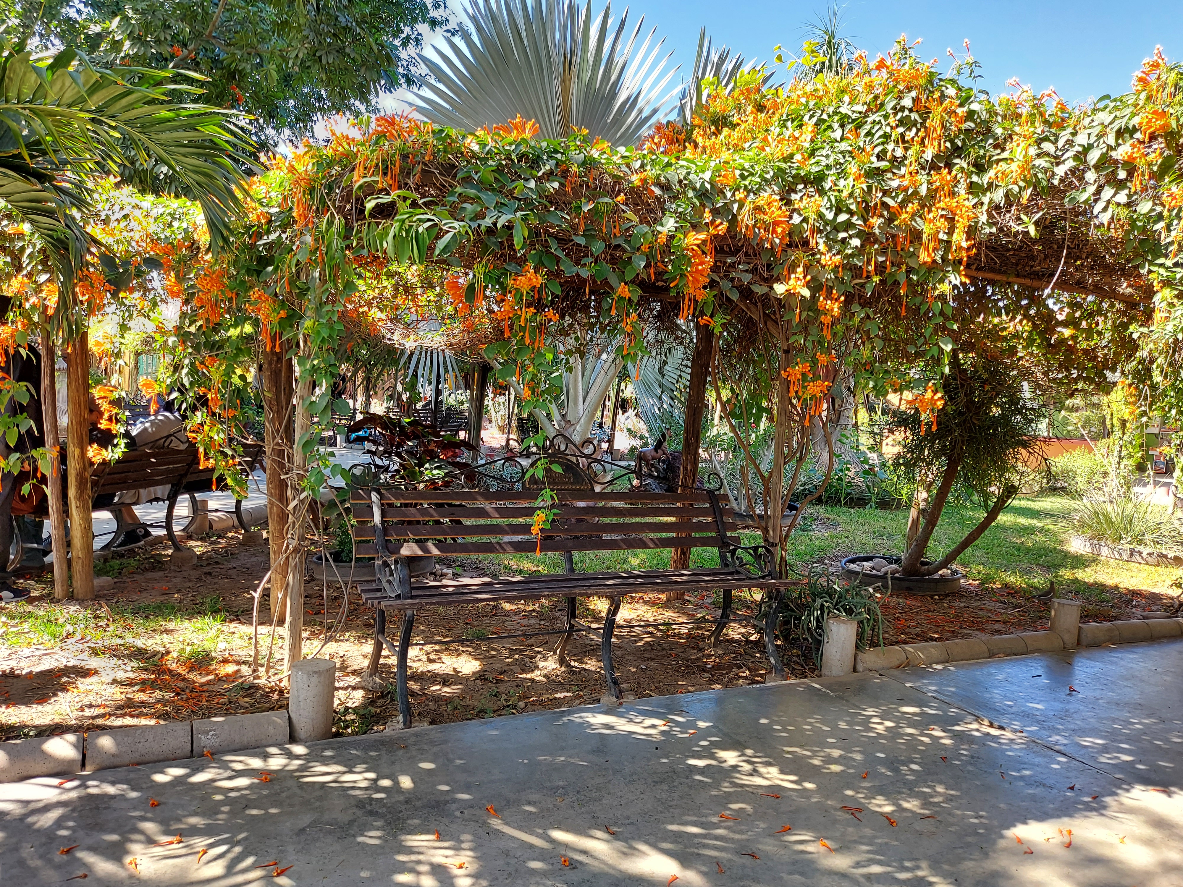 La Granja de San Pedro image 7