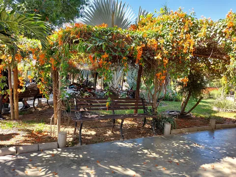 La Granja de San Pedro image 7