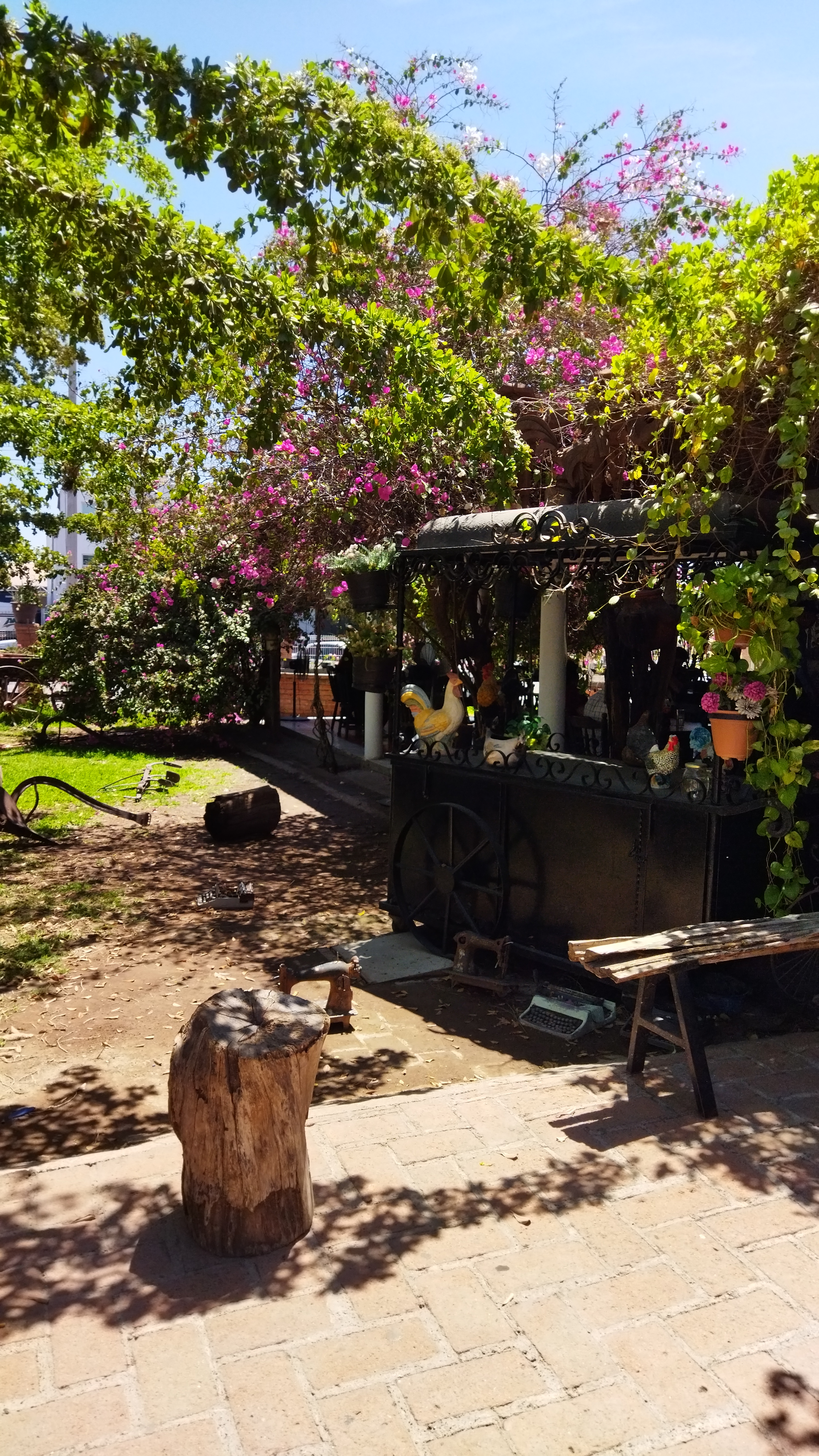 El Gallito Restaurante Suc. Central Millenium image 8