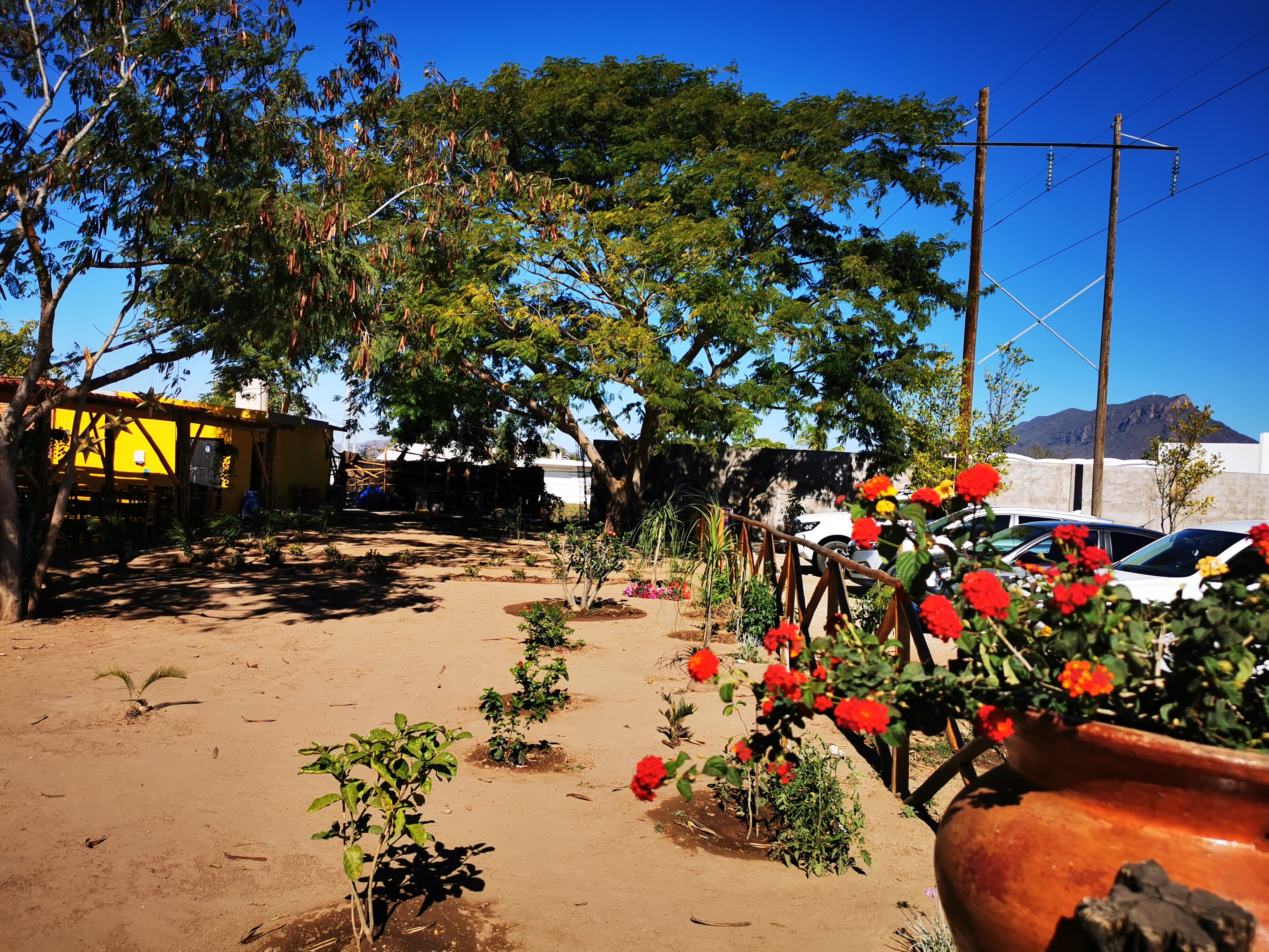 Restaurant El Huanacaxtle image 7