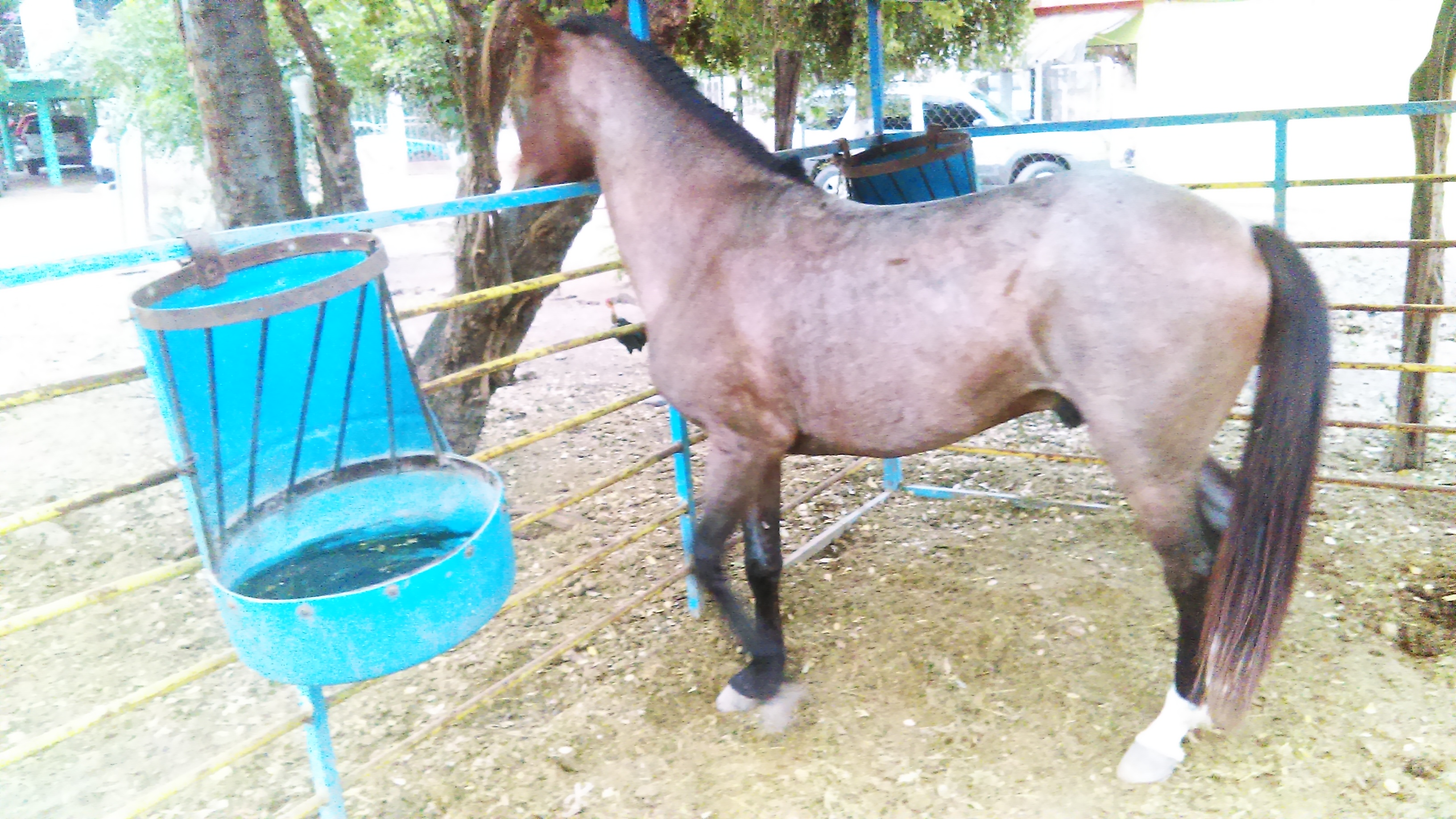 La Tuna Desayunos image 8