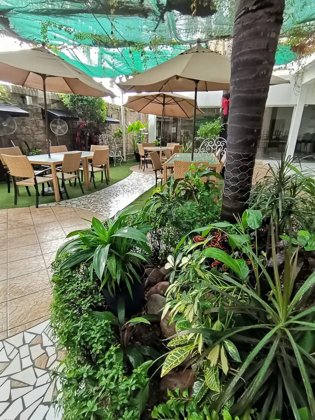 Signus Restaurante Jesús Kumate image 3