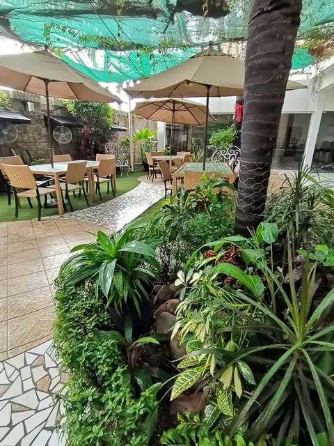 Signus Restaurante Jesús Kumate image 3