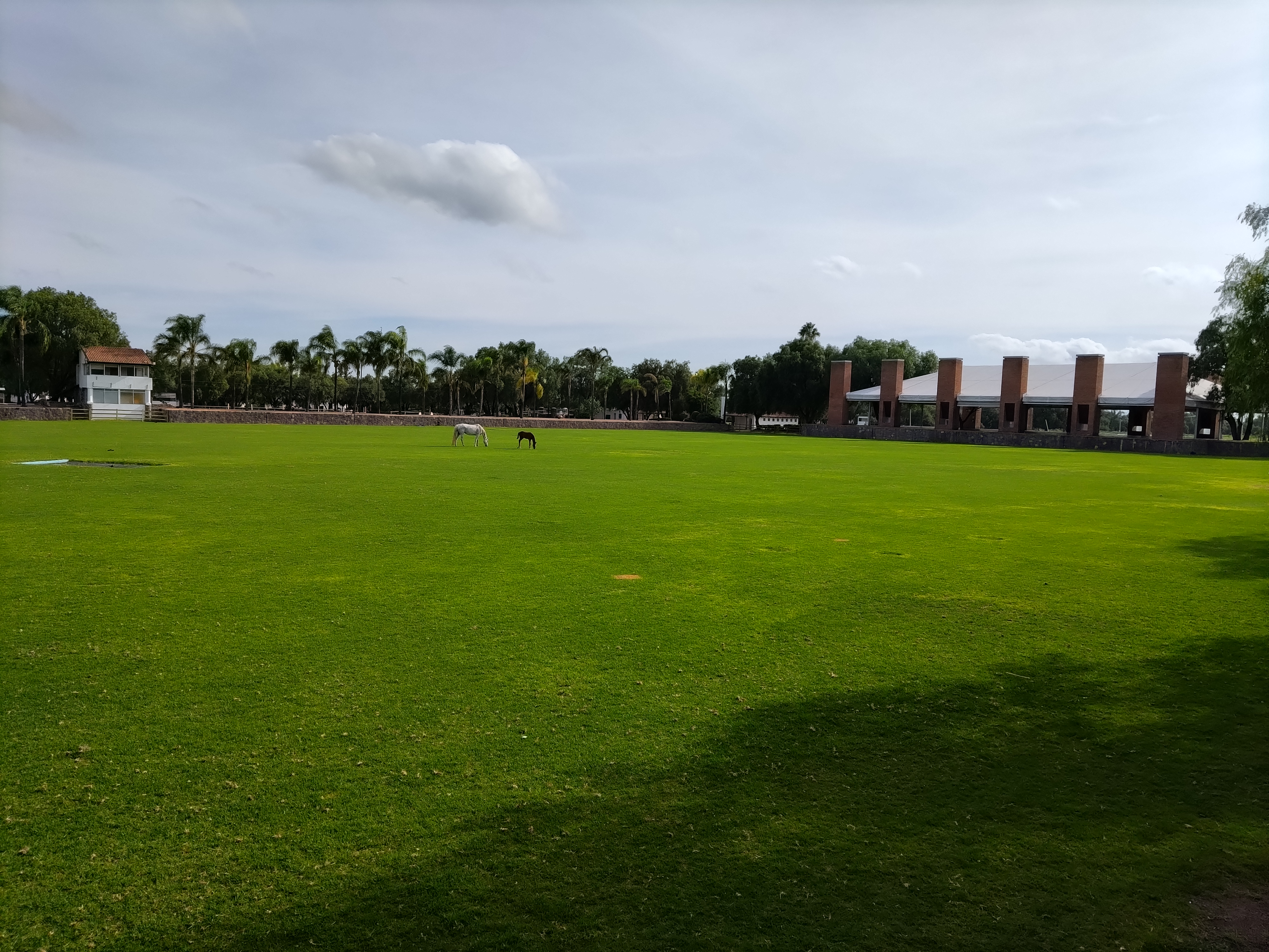 Casa Balvanera image 5