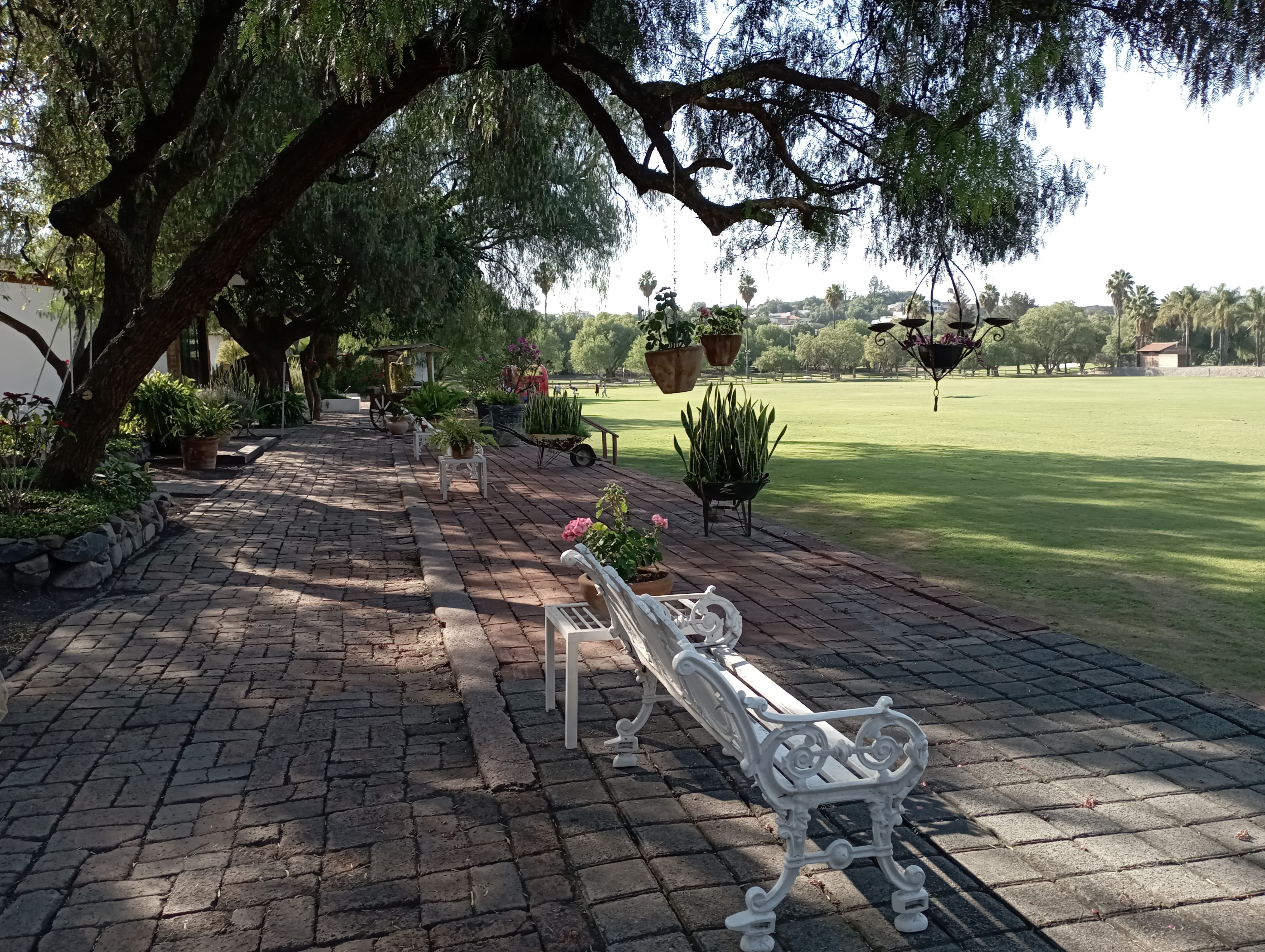 Casa Balvanera image 10