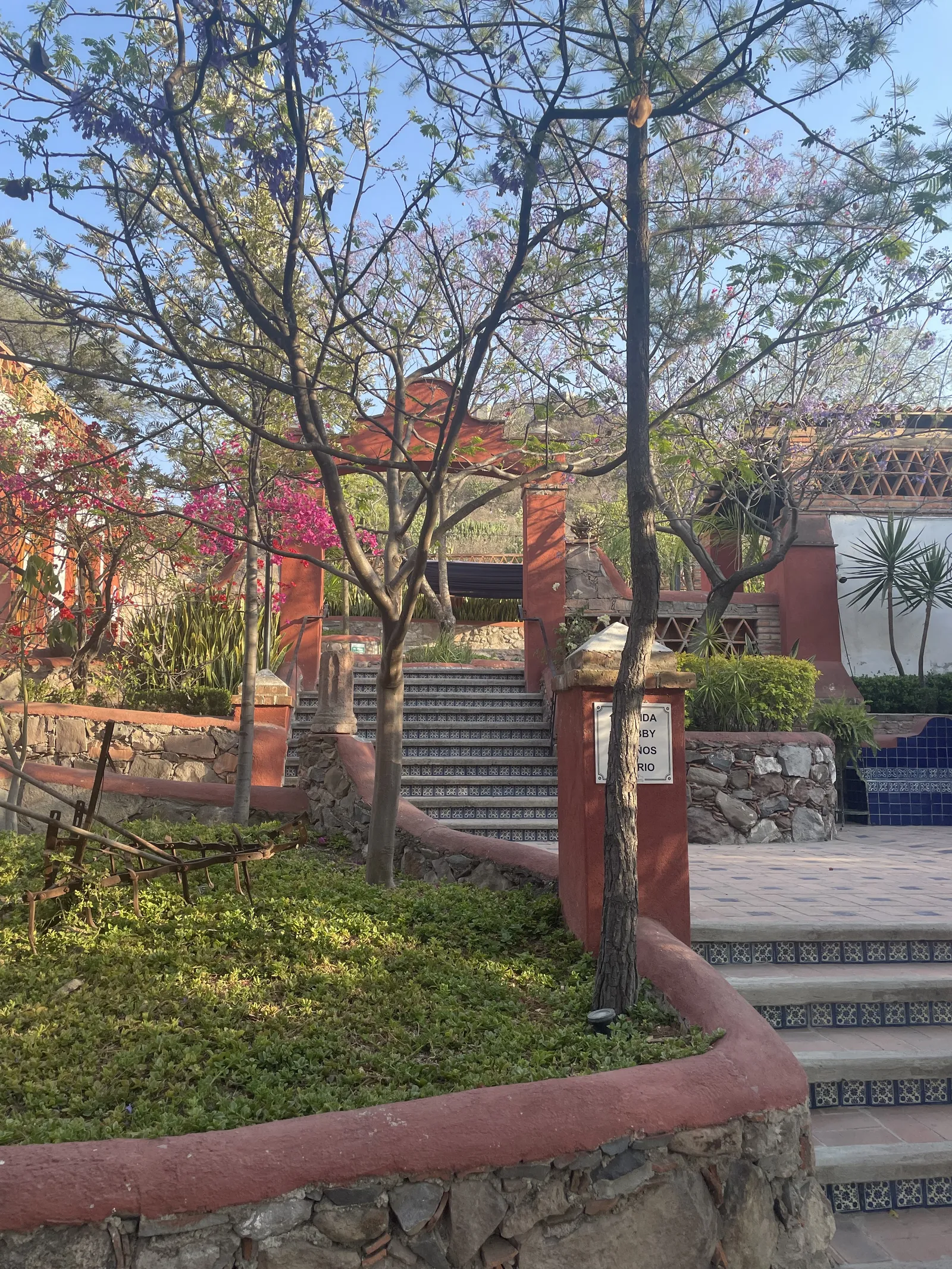 La Martinica image 6