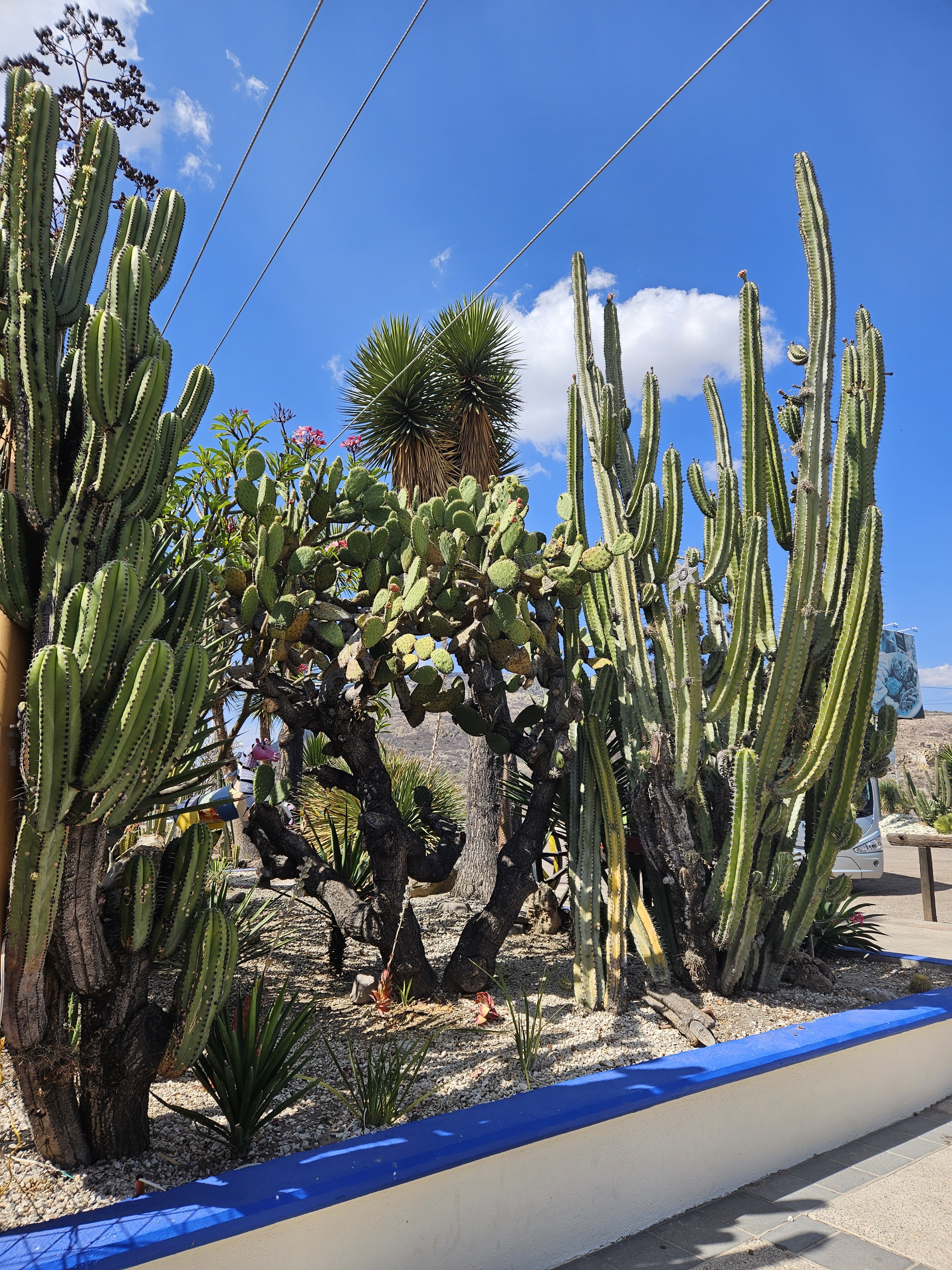 Rancho Zapata image 3