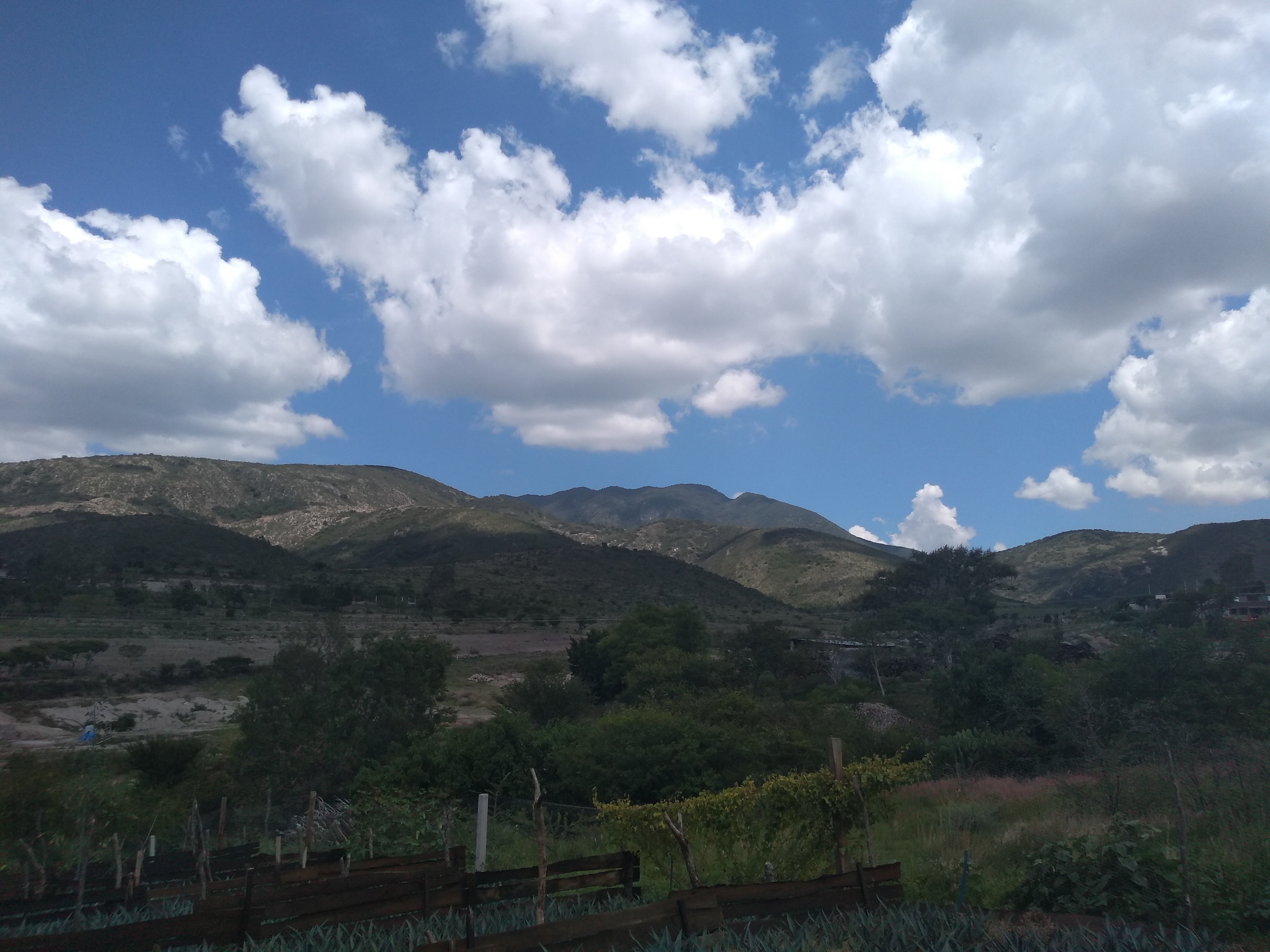 comedor Juquilita image 10