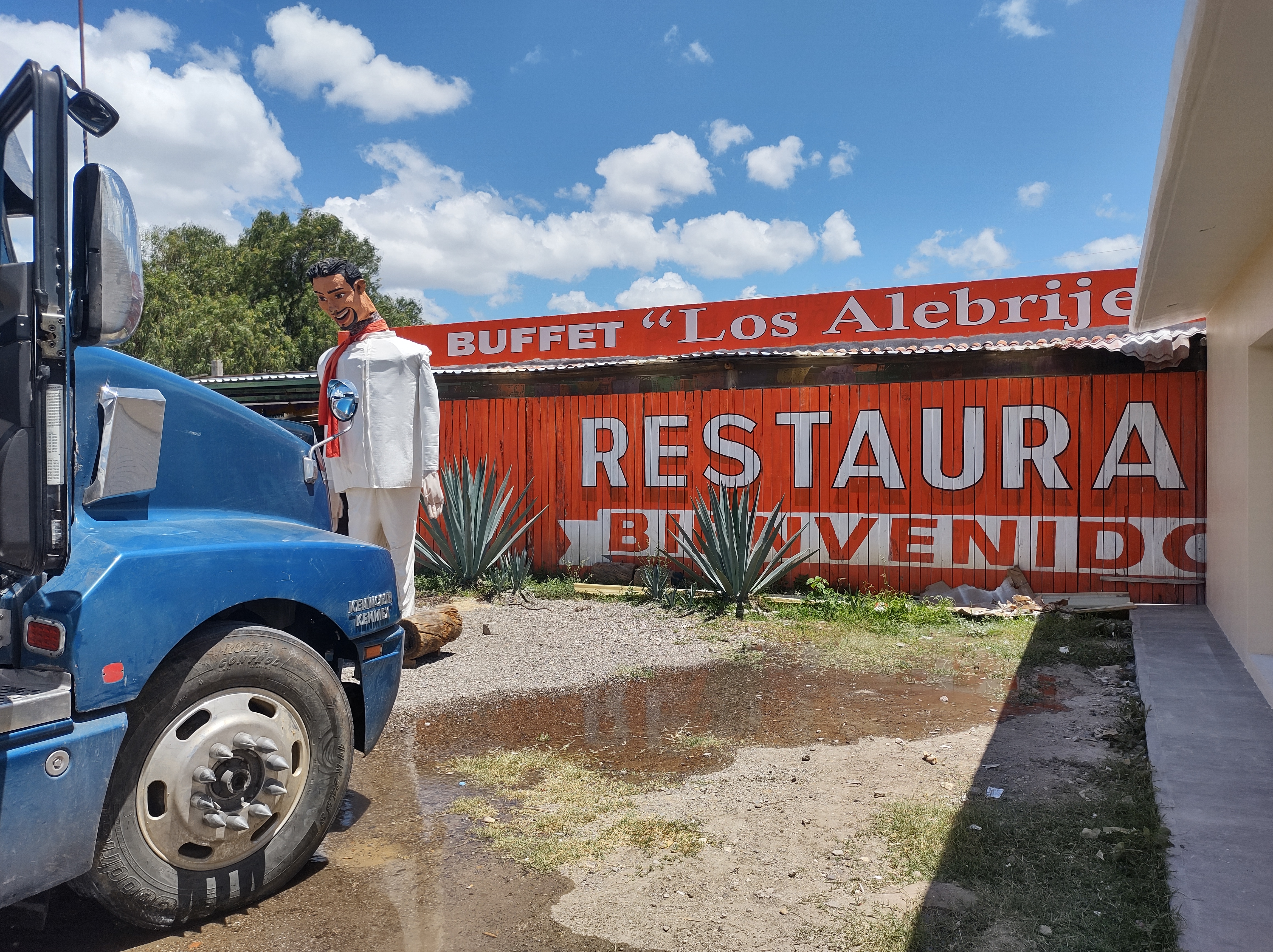 Los Alebrijes image 10