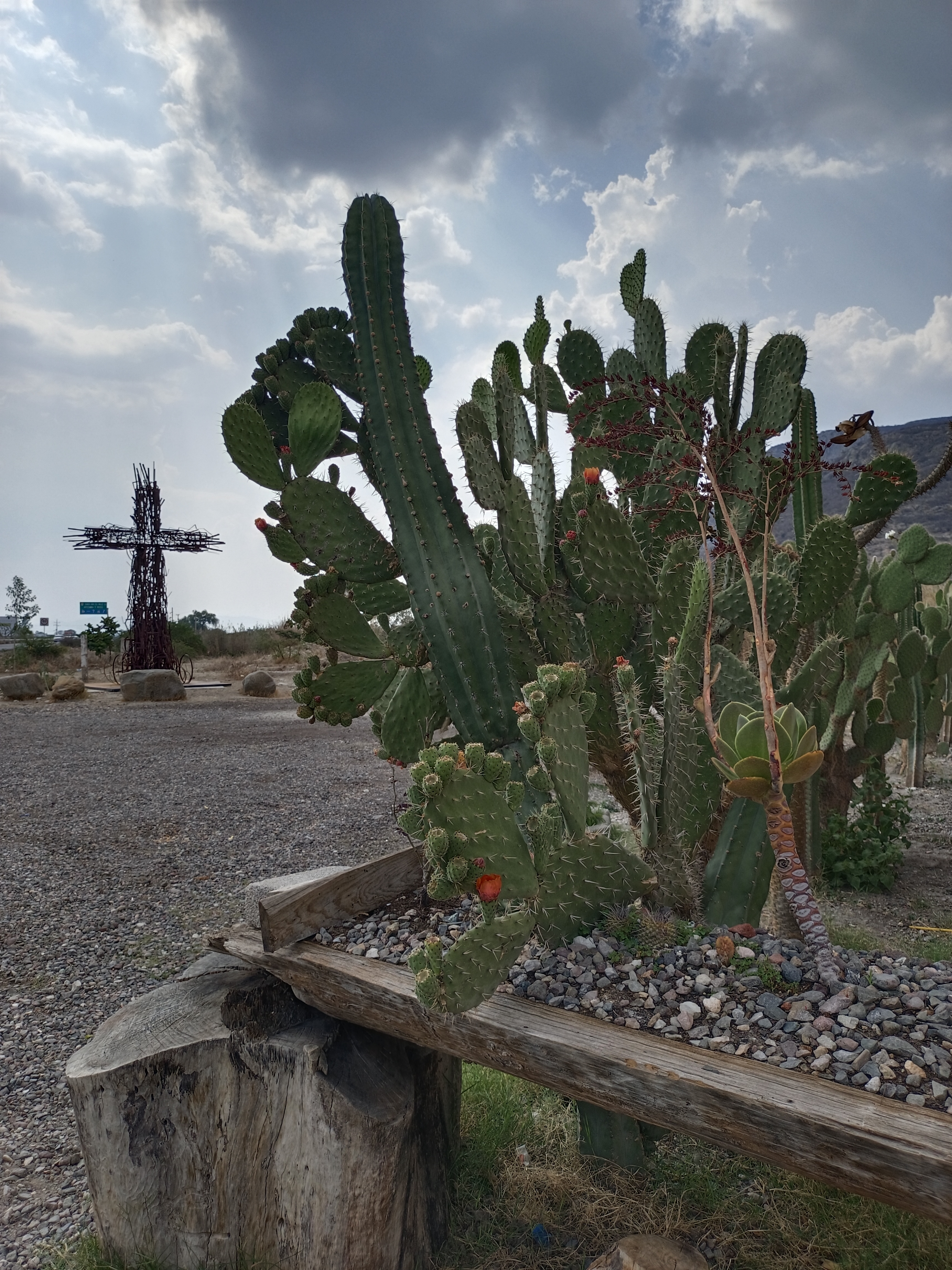 Restaurante Casa Rayo image 10
