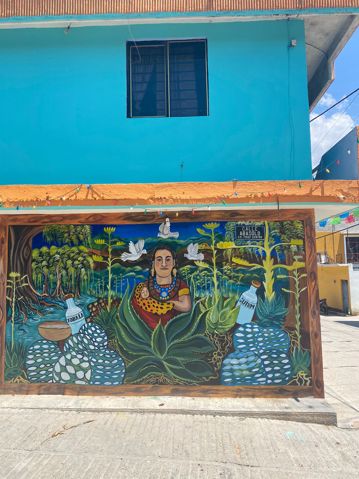 Maestra Bertha Vásquez image 2