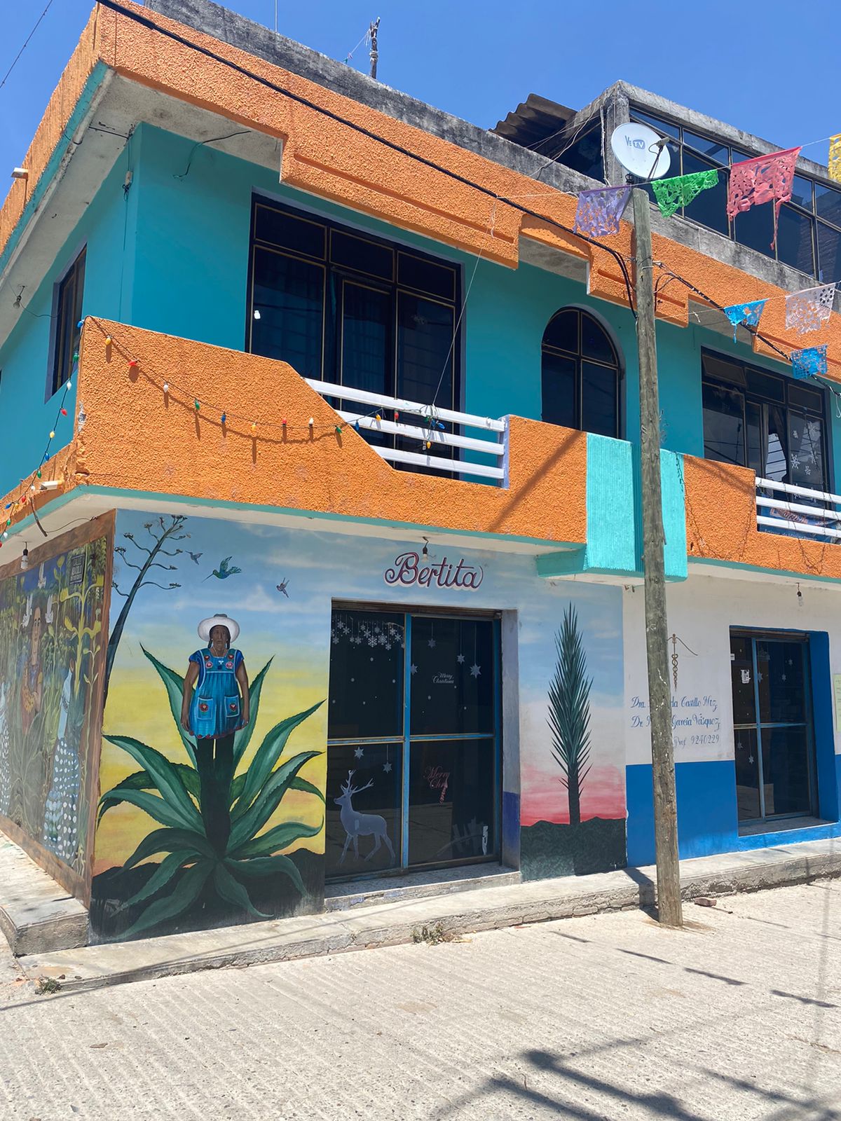 Maestra Bertha Vásquez image 3