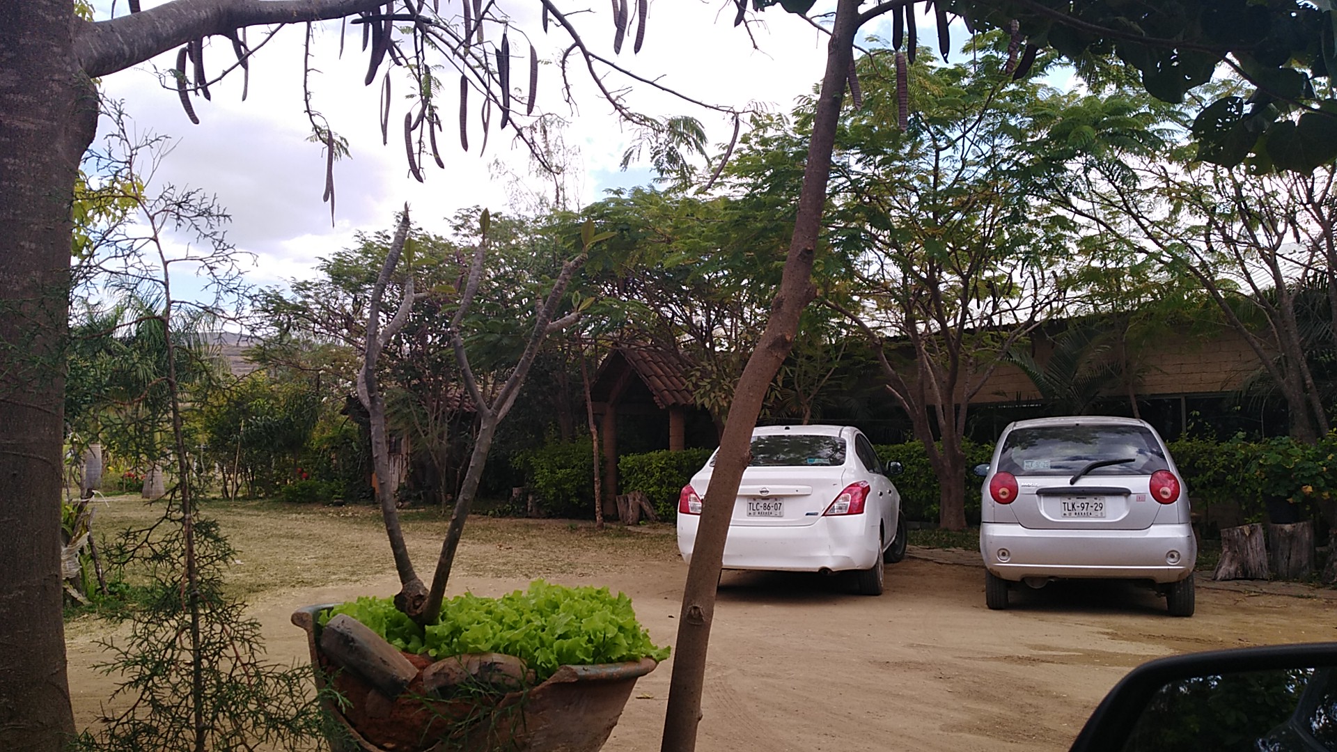 Restaurante Tierra Negra image 3