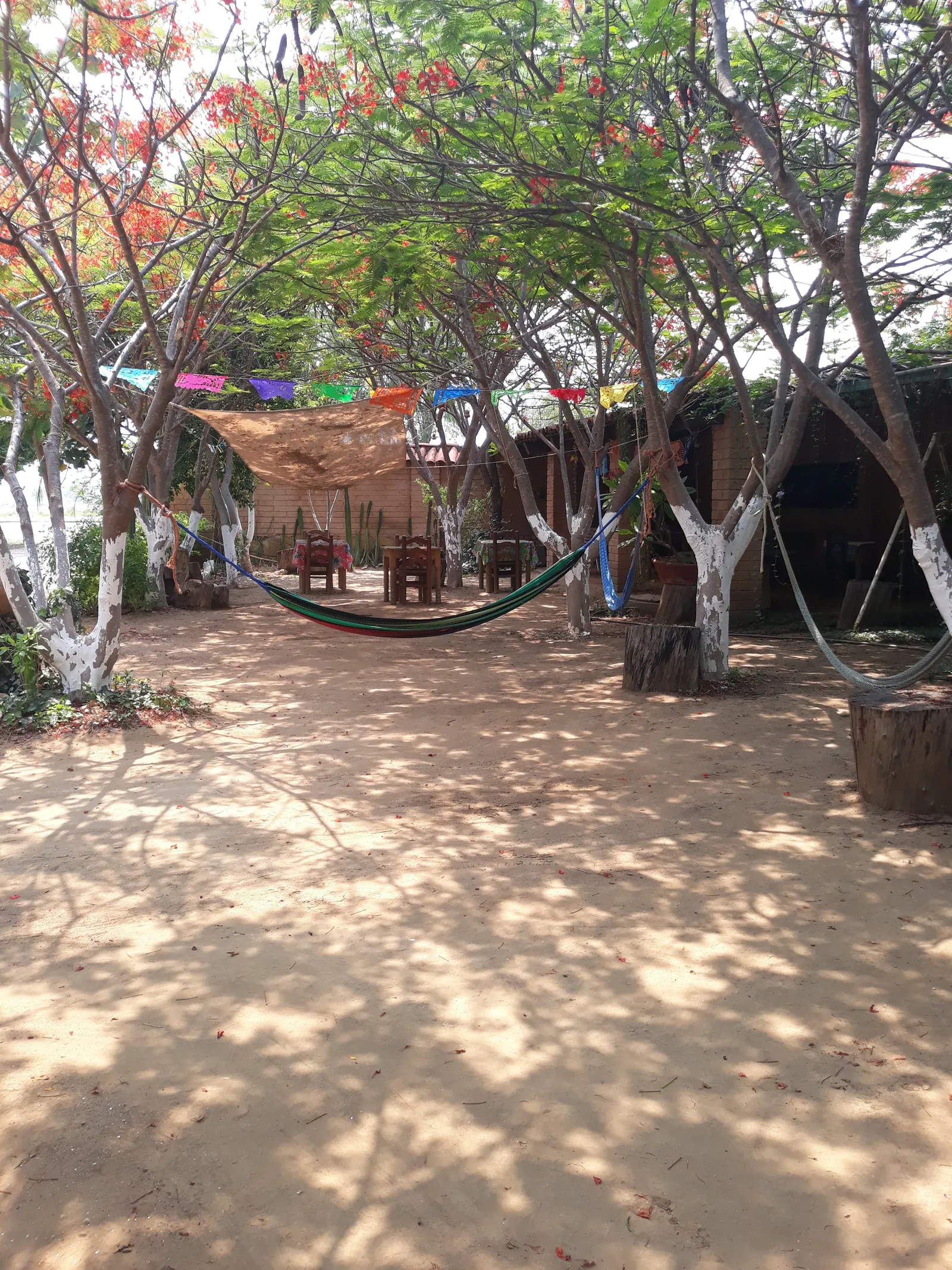 Restaurante Tierra Negra image 10