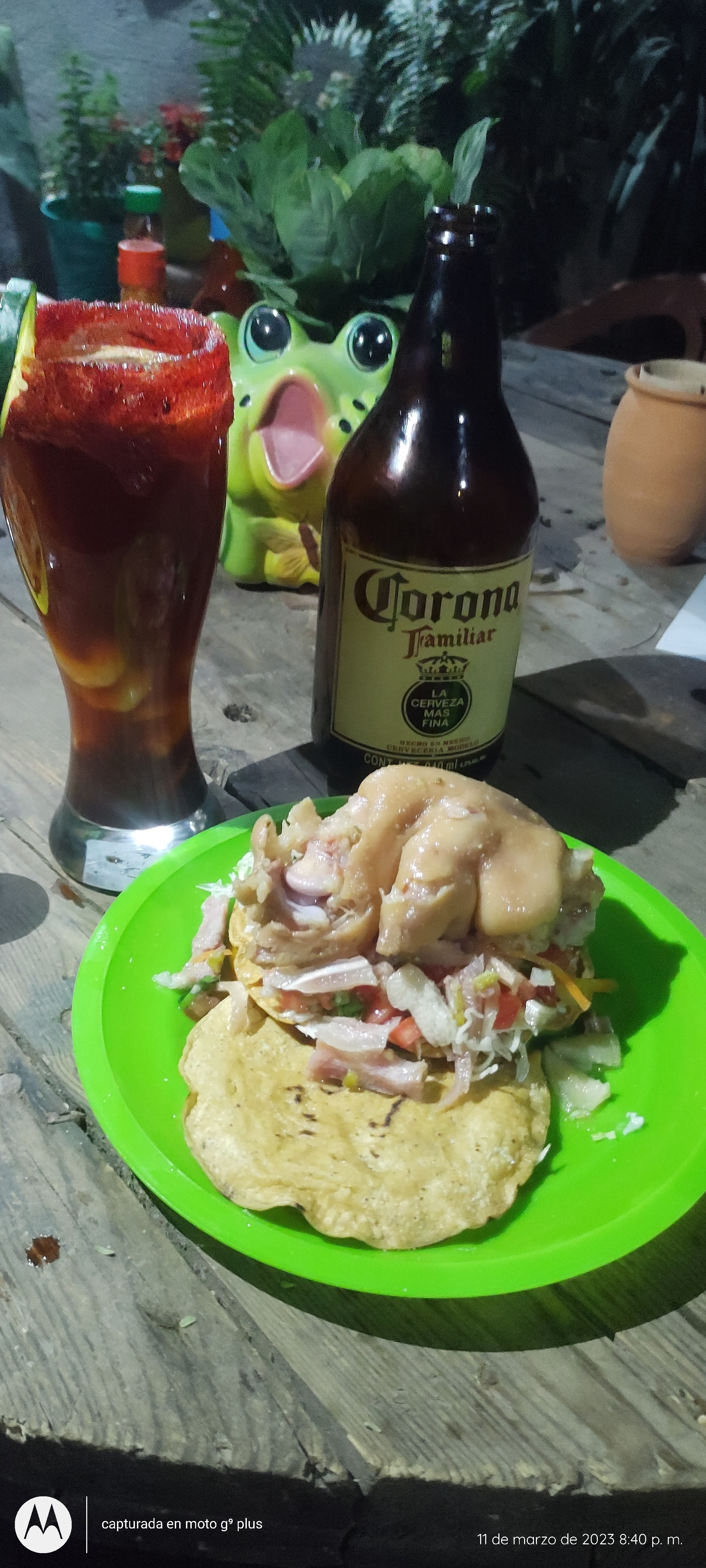 Tostadas ferlix image 9