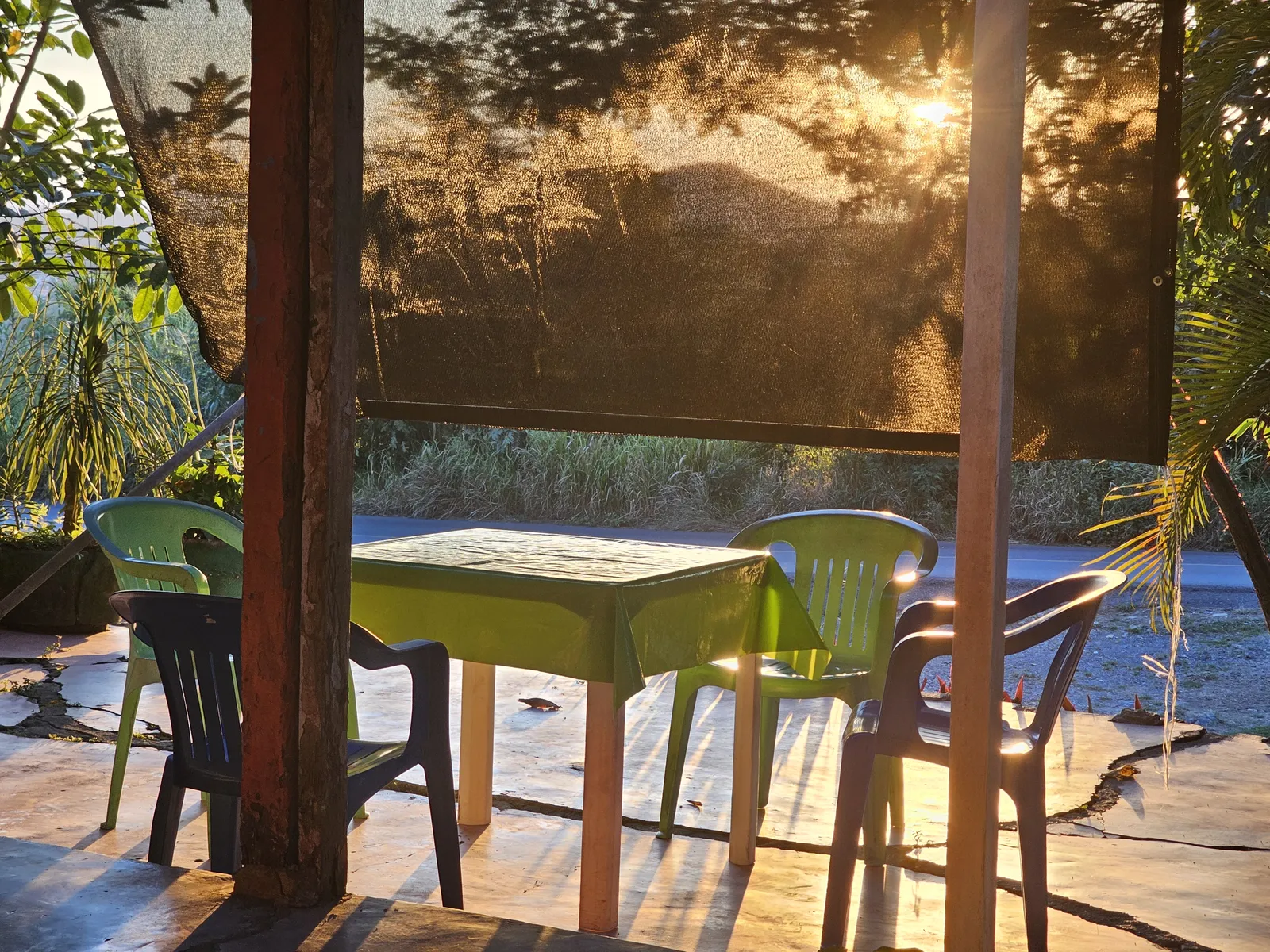 El Oasis image 1