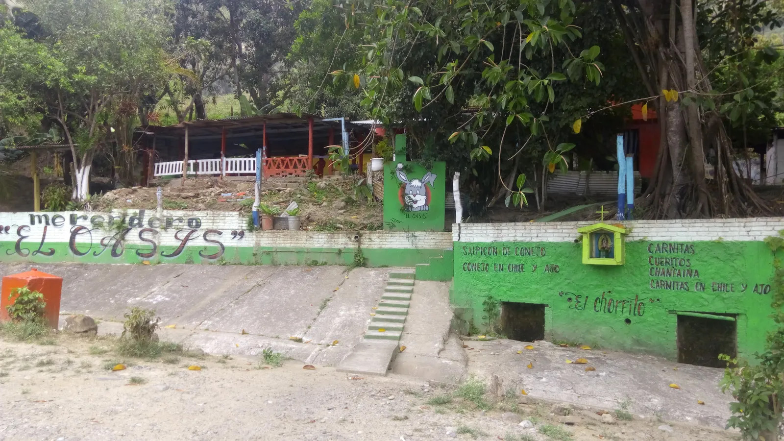 El Oasis image 8