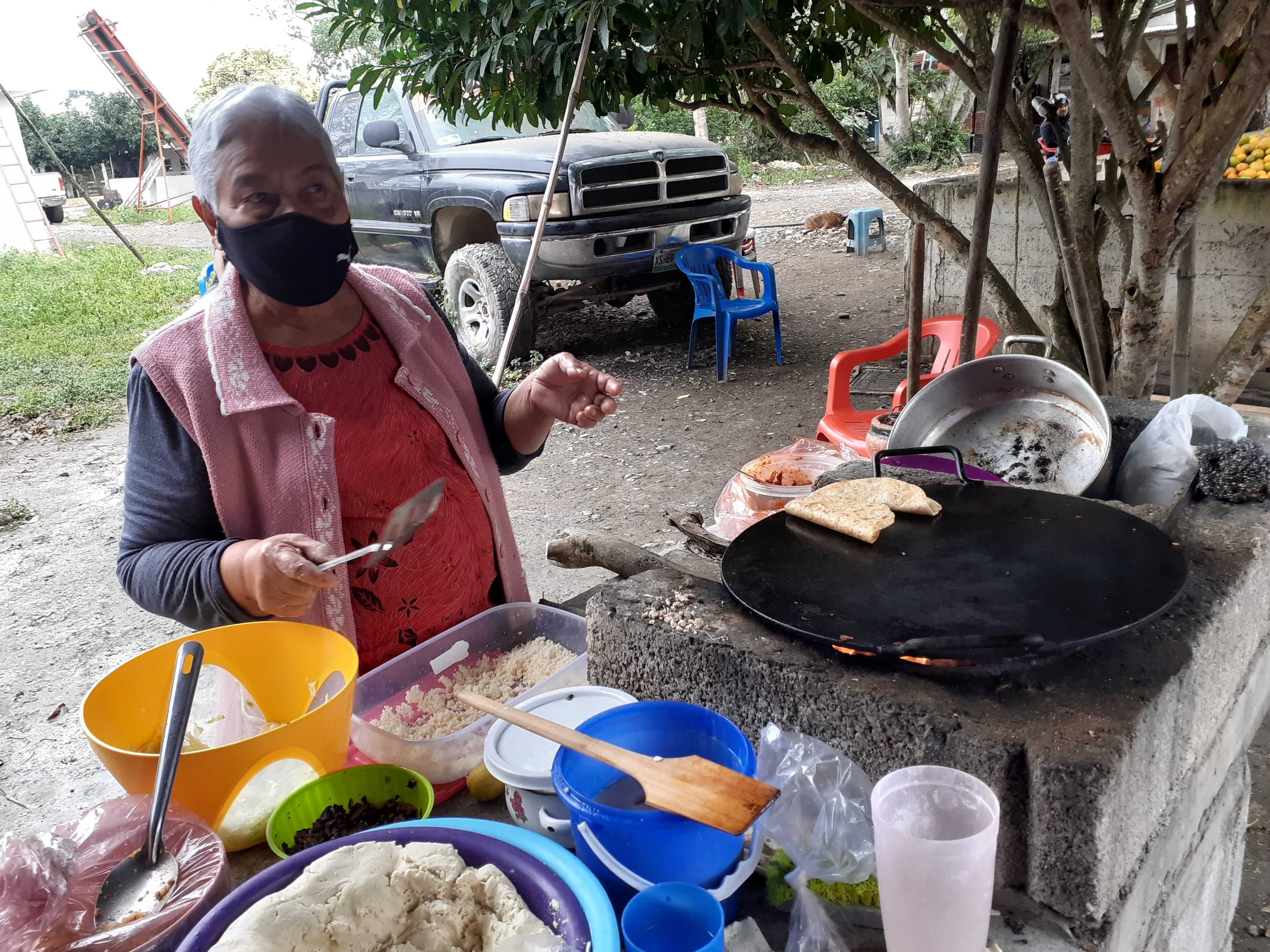Comedor " Los Ficus's " image 4