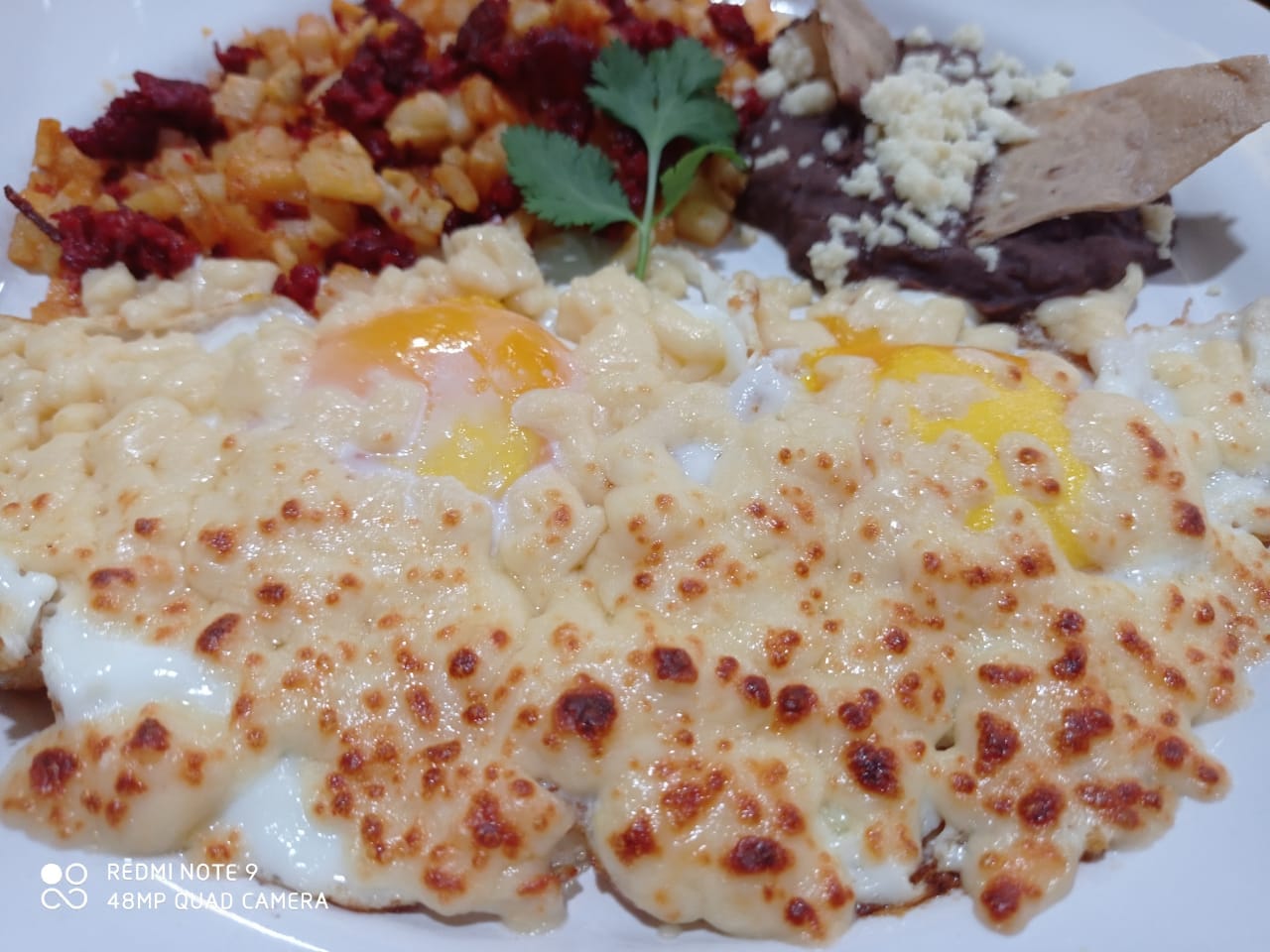 Restaurante Campos Elíseos image 5