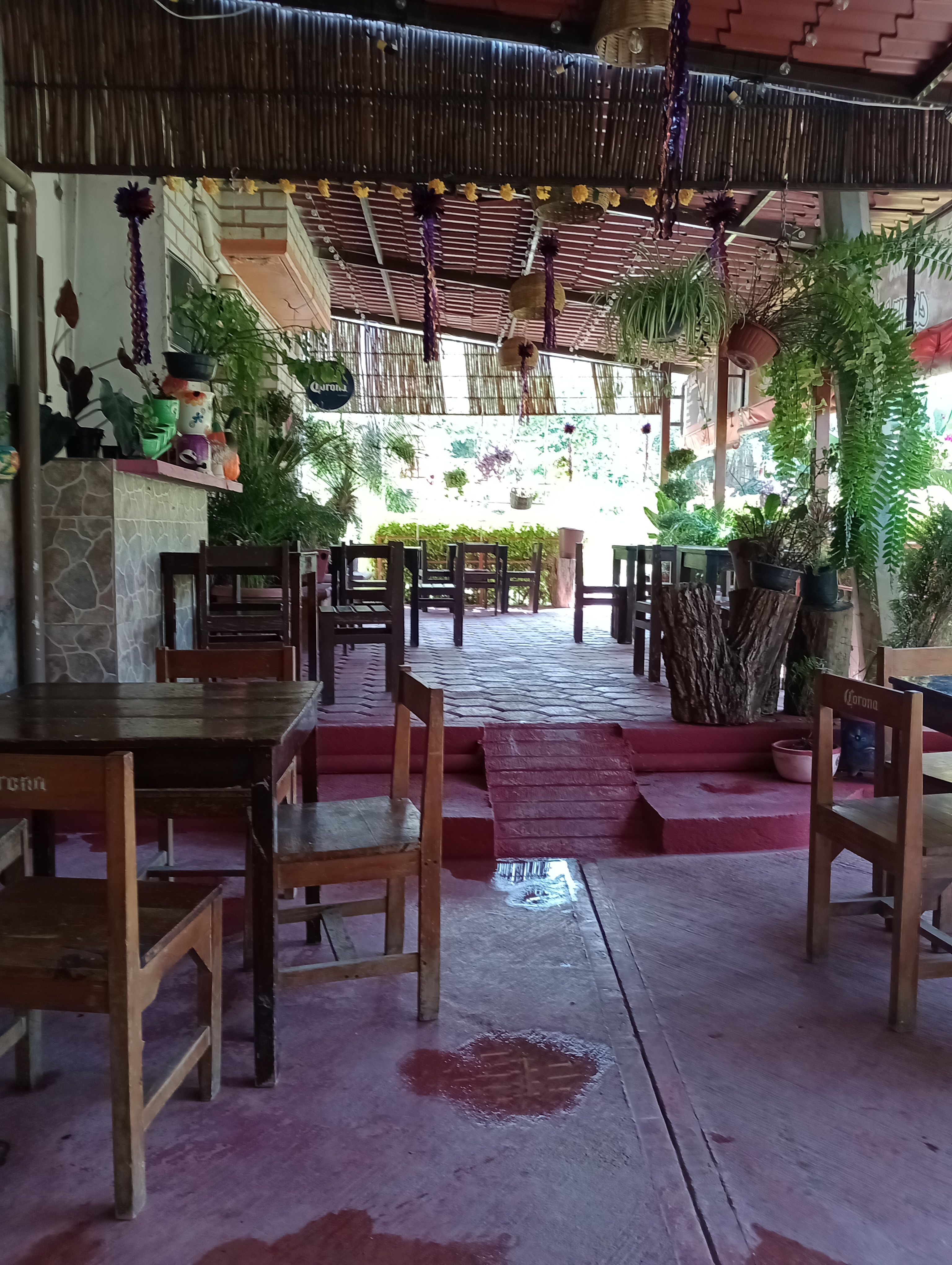 Restaurant Bar El Gato Americano image 1