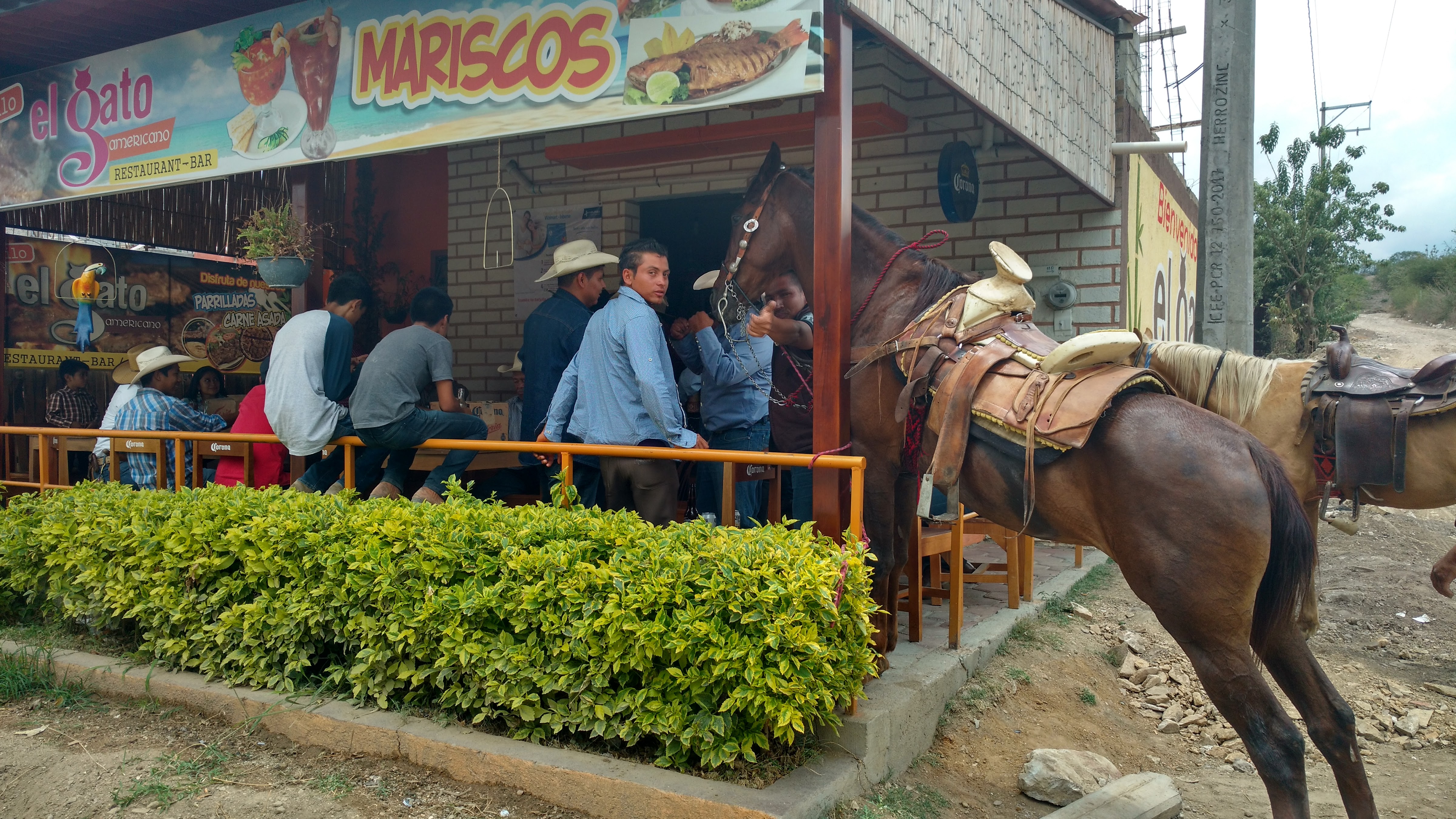 Restaurant Bar El Gato Americano image 9