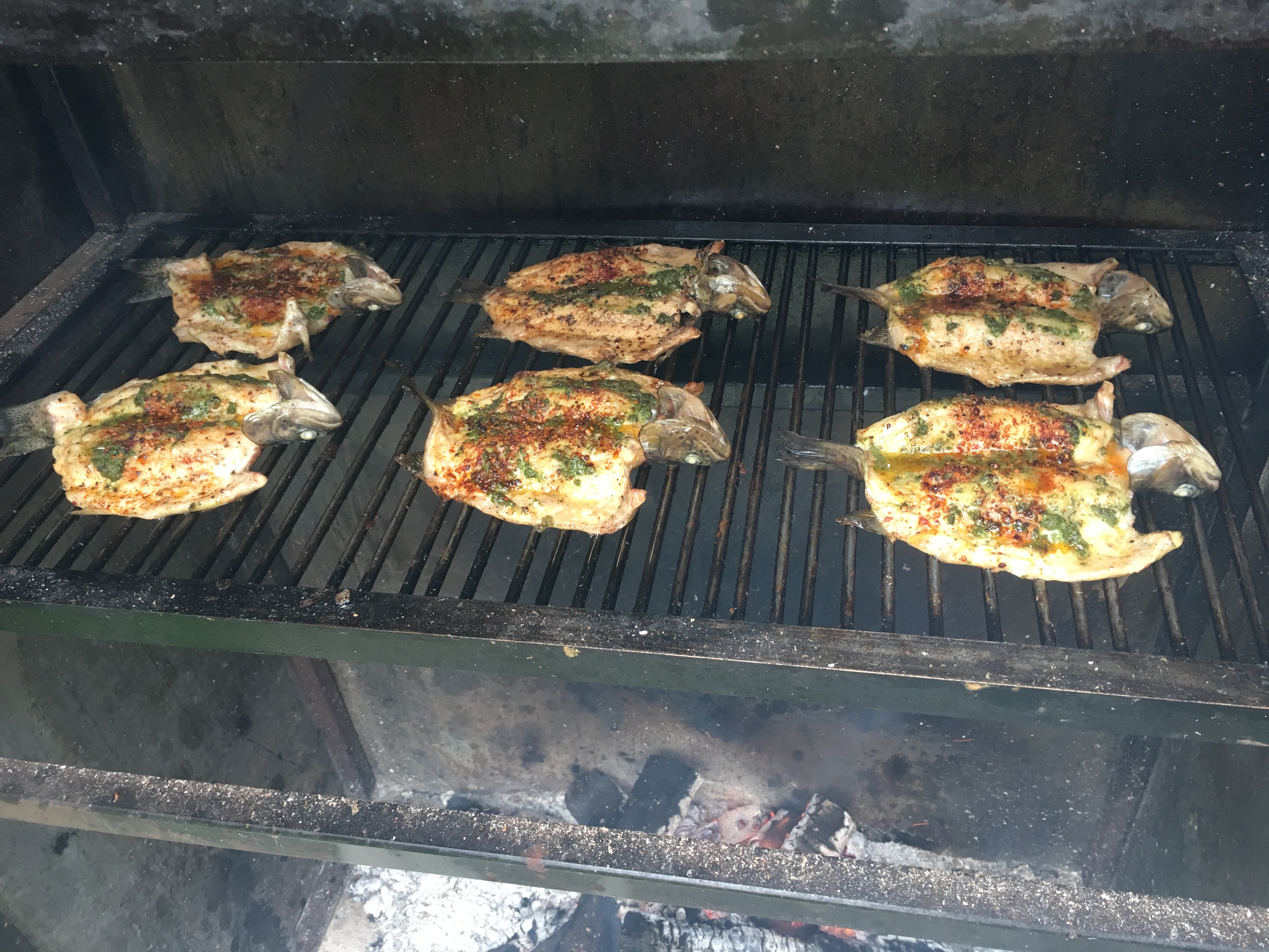 Truchas Ejecayan image 2