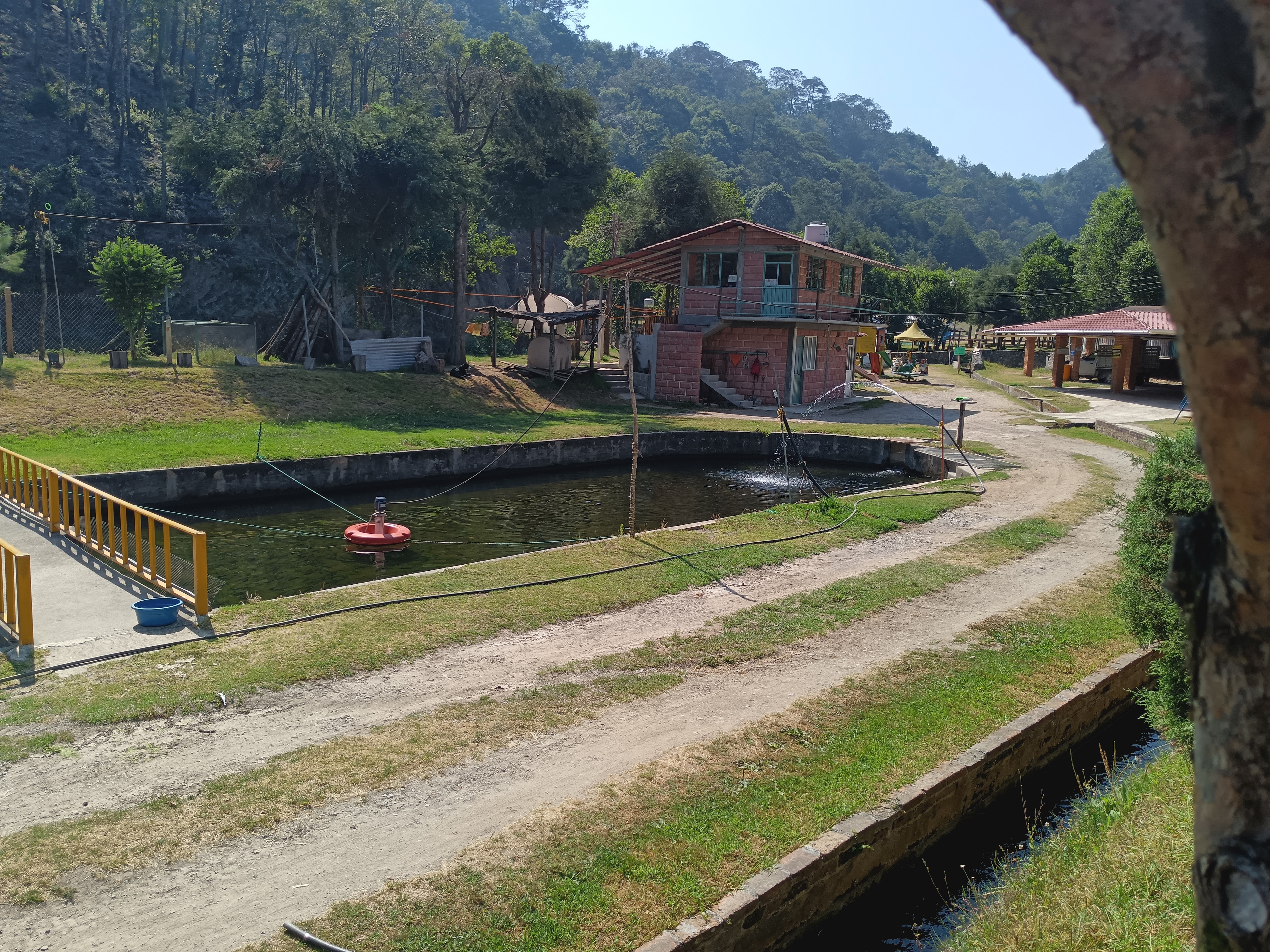 Truchas Ejecayan image 4