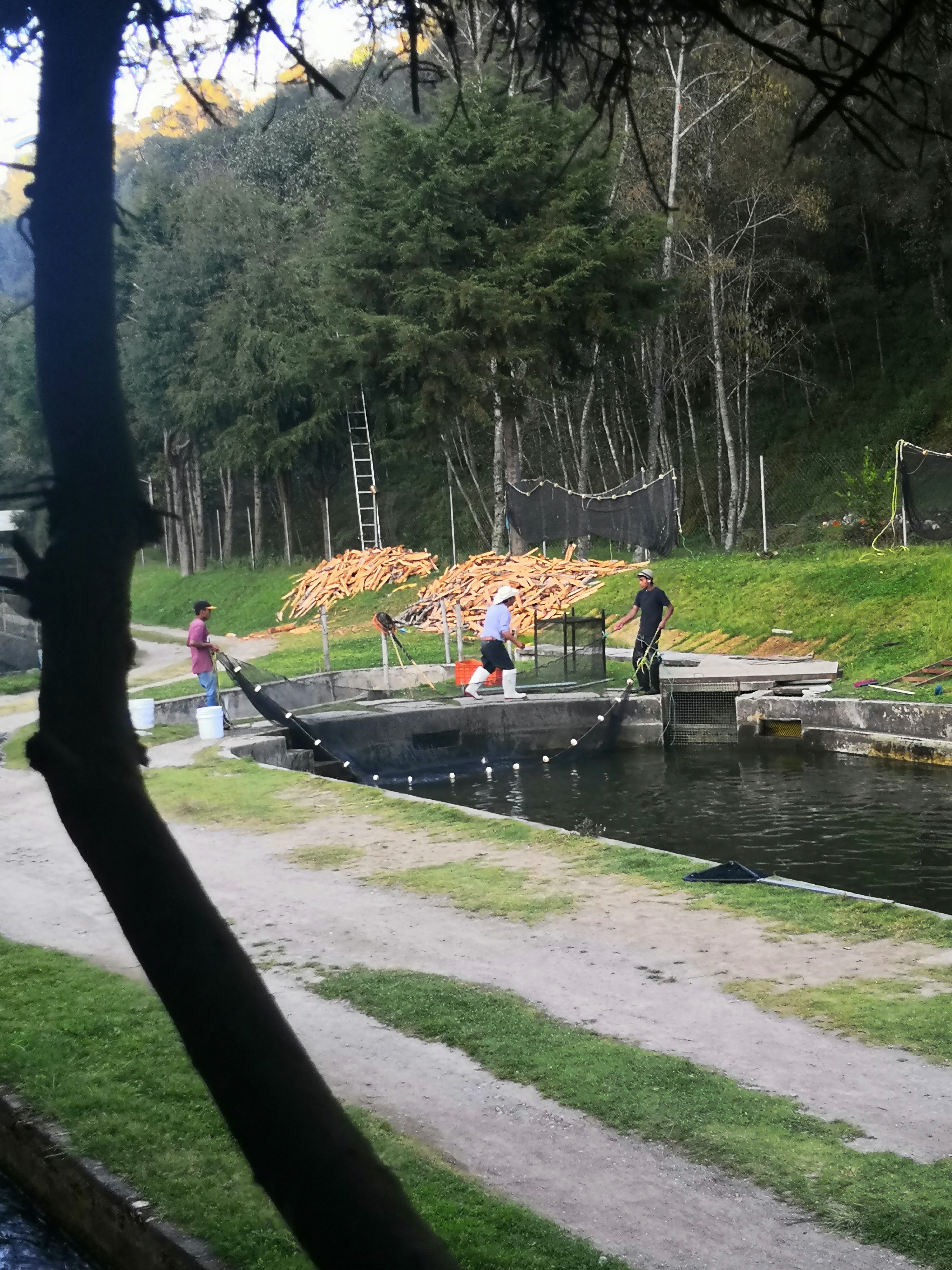 Truchas Ejecayan image 9